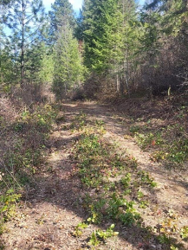 2462x WA-25 N Hwy - Photo 12