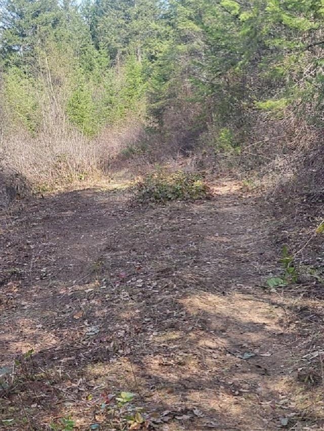 2462x WA-25 N Hwy - Photo 13