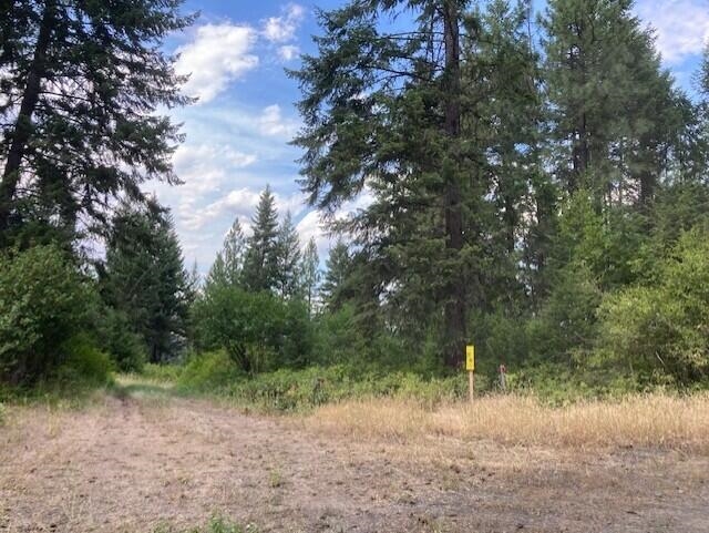 2462x WA-25 N Hwy - Photo 14