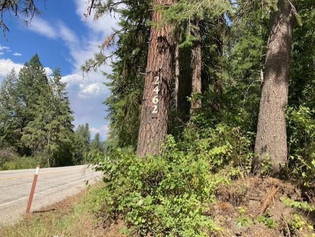 2462x WA-25 N Hwy - Photo 15