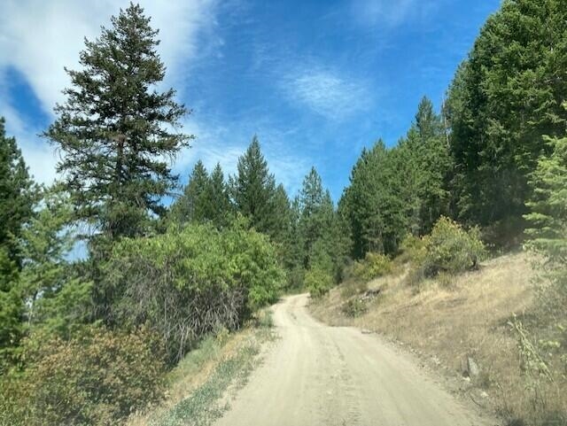 2462x WA-25 N Hwy - Photo 16
