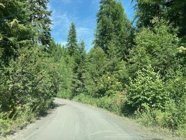 2462x WA-25 N Hwy - Photo 17