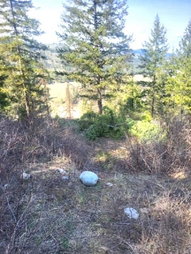 2462x WA-25 N Hwy - Photo 5