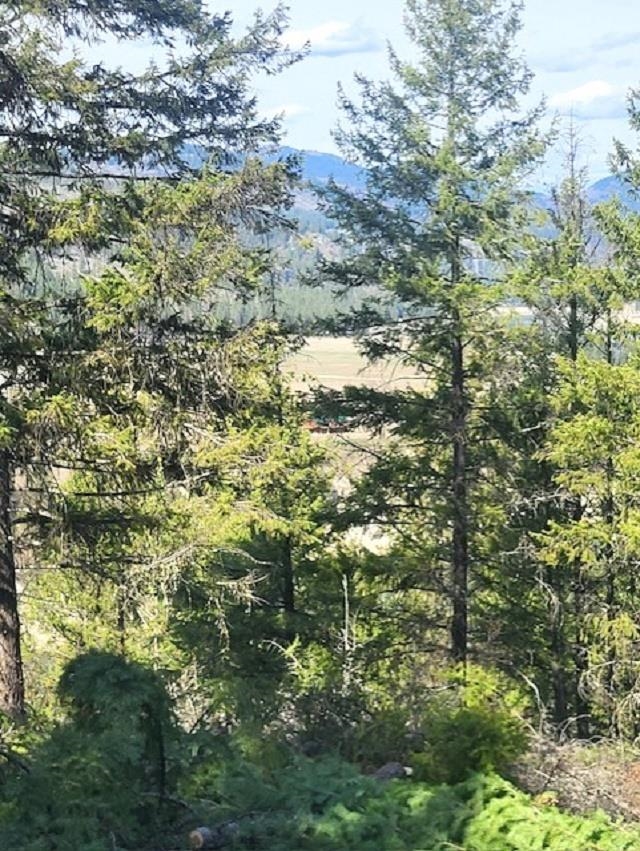 2462x WA-25 N Hwy - Photo 6