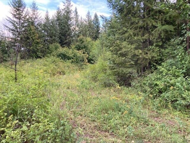 2462x WA-25 N Hwy - Photo 7