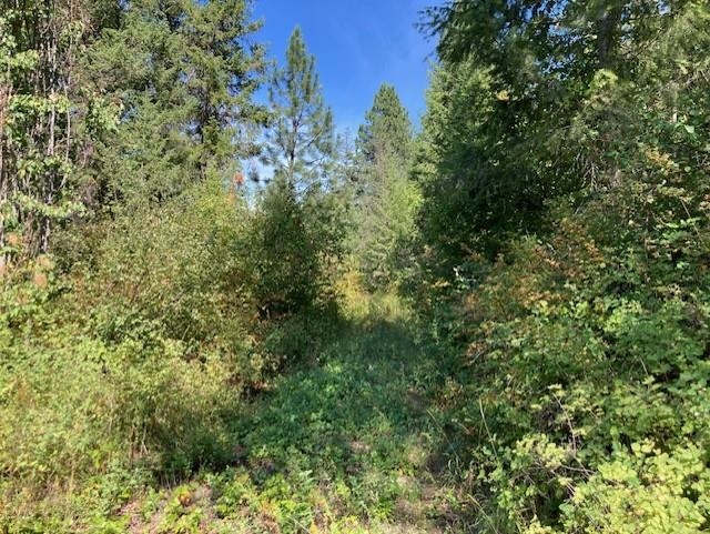 2462x WA-25 N Hwy - Photo 8
