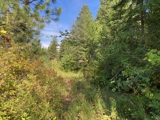 2462x WA-25 N Hwy - Photo 9
