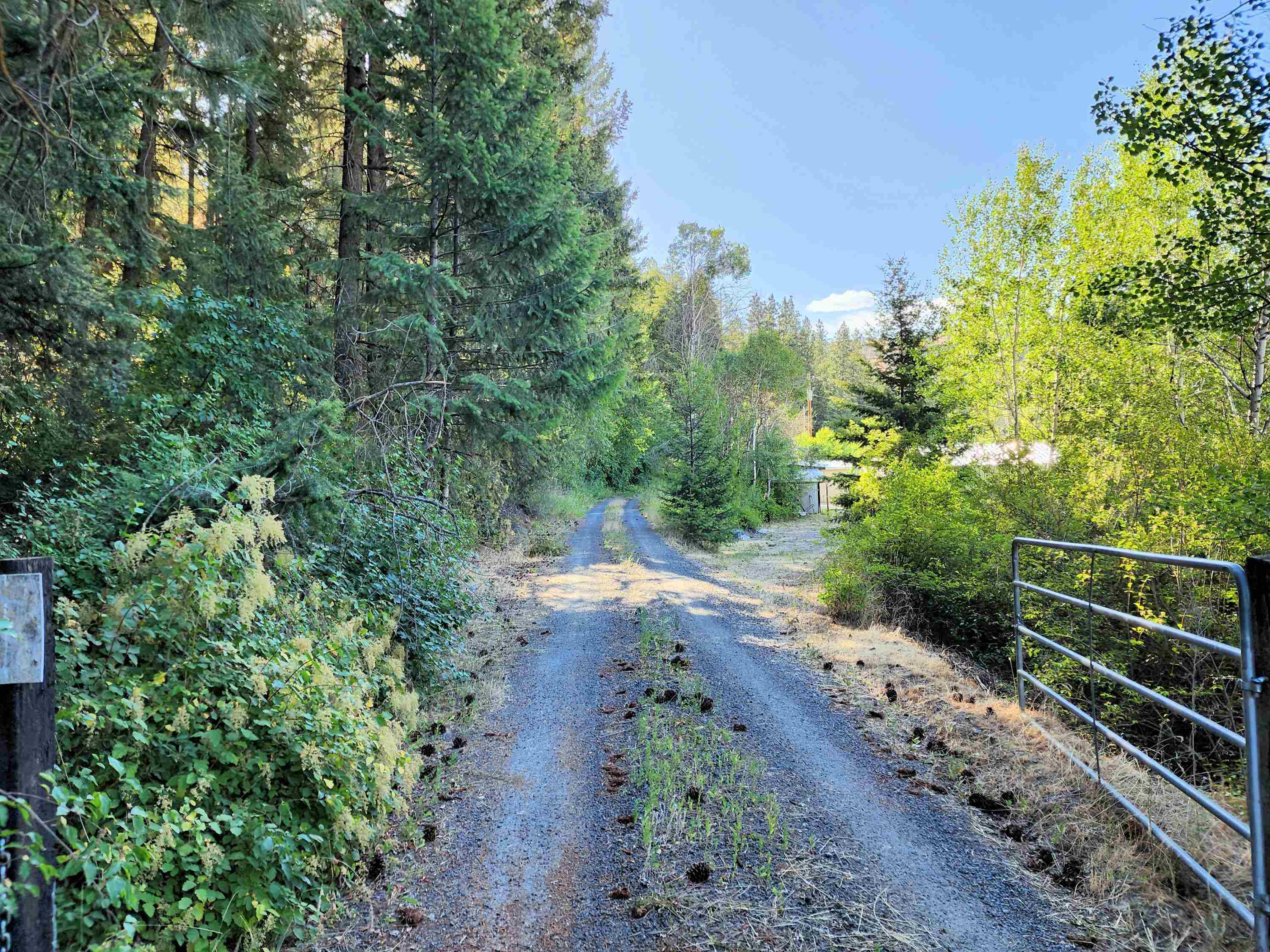 31300 E Aspen Ln - Photo 3