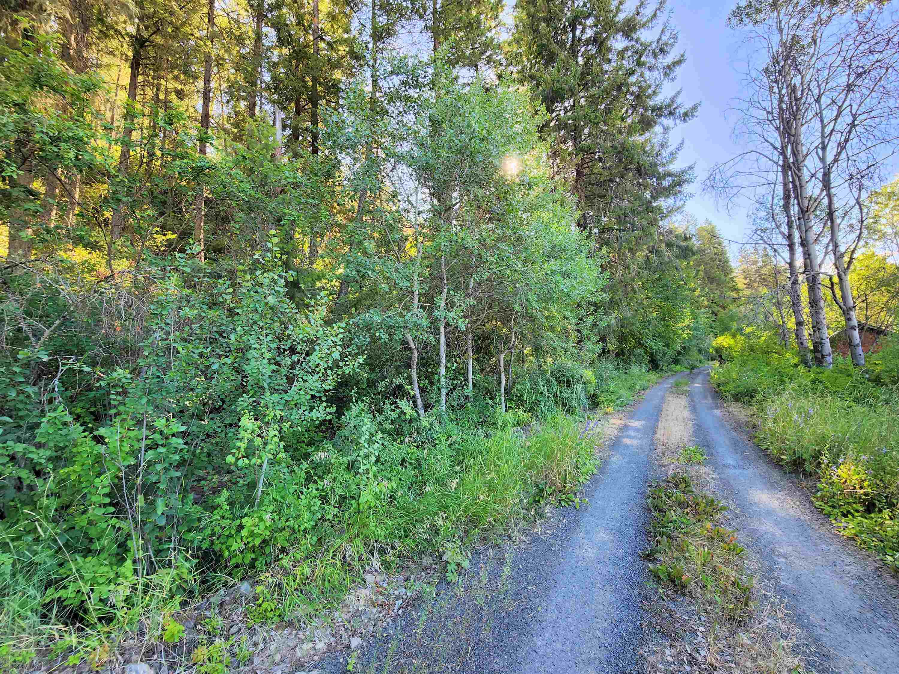 31300 E Aspen Ln - Photo 22