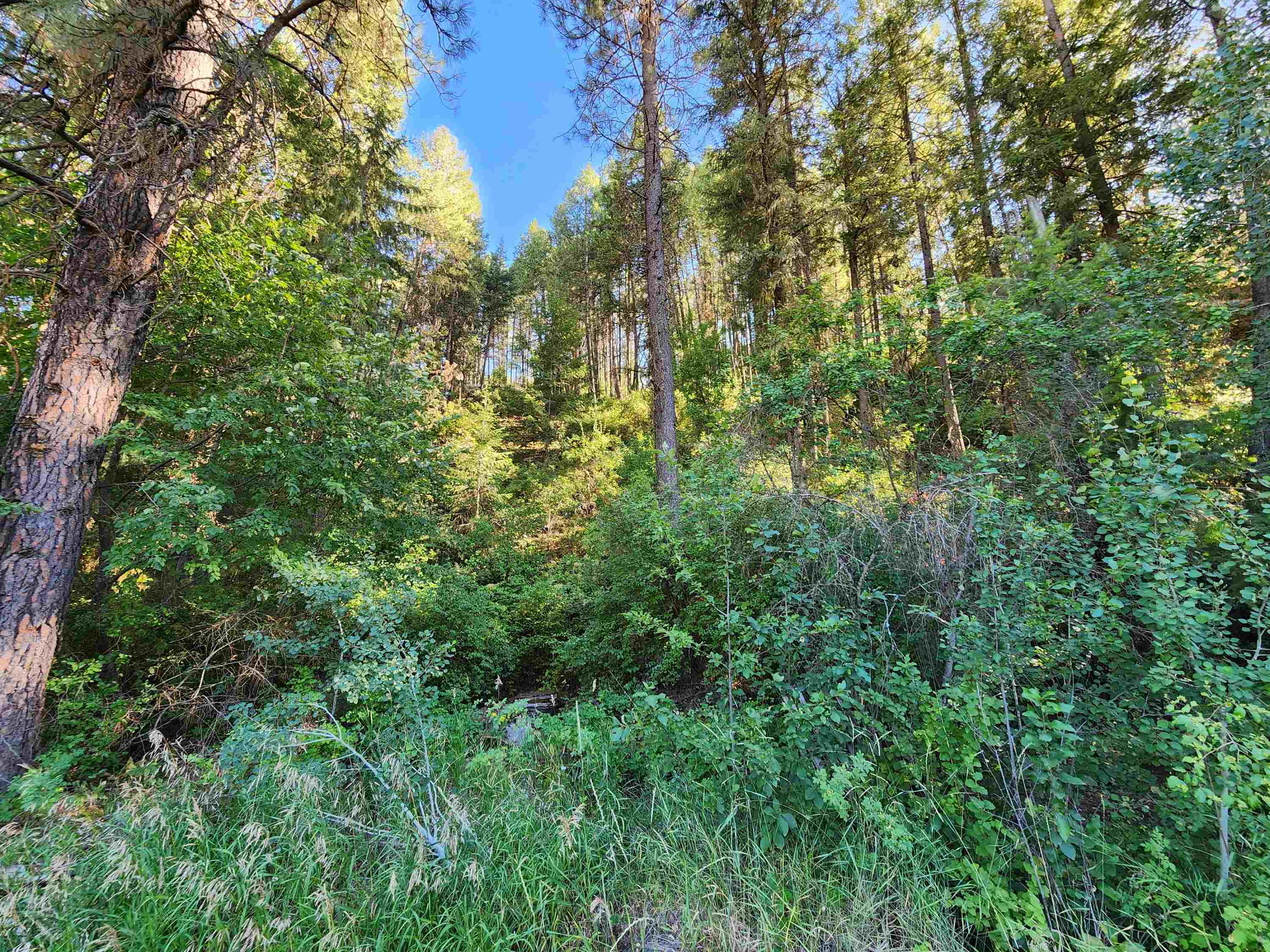 31300 E Aspen Ln - Photo 23