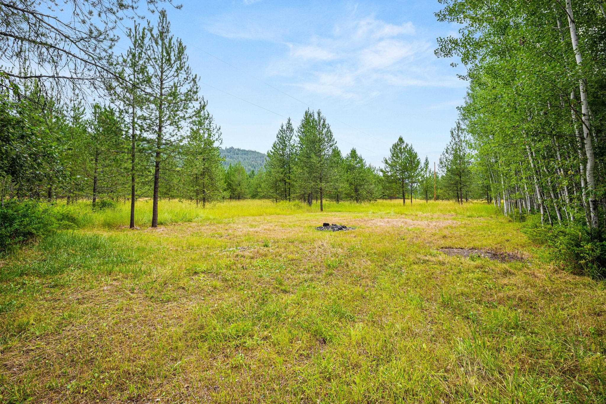94 Needles Dr - Photo 4
