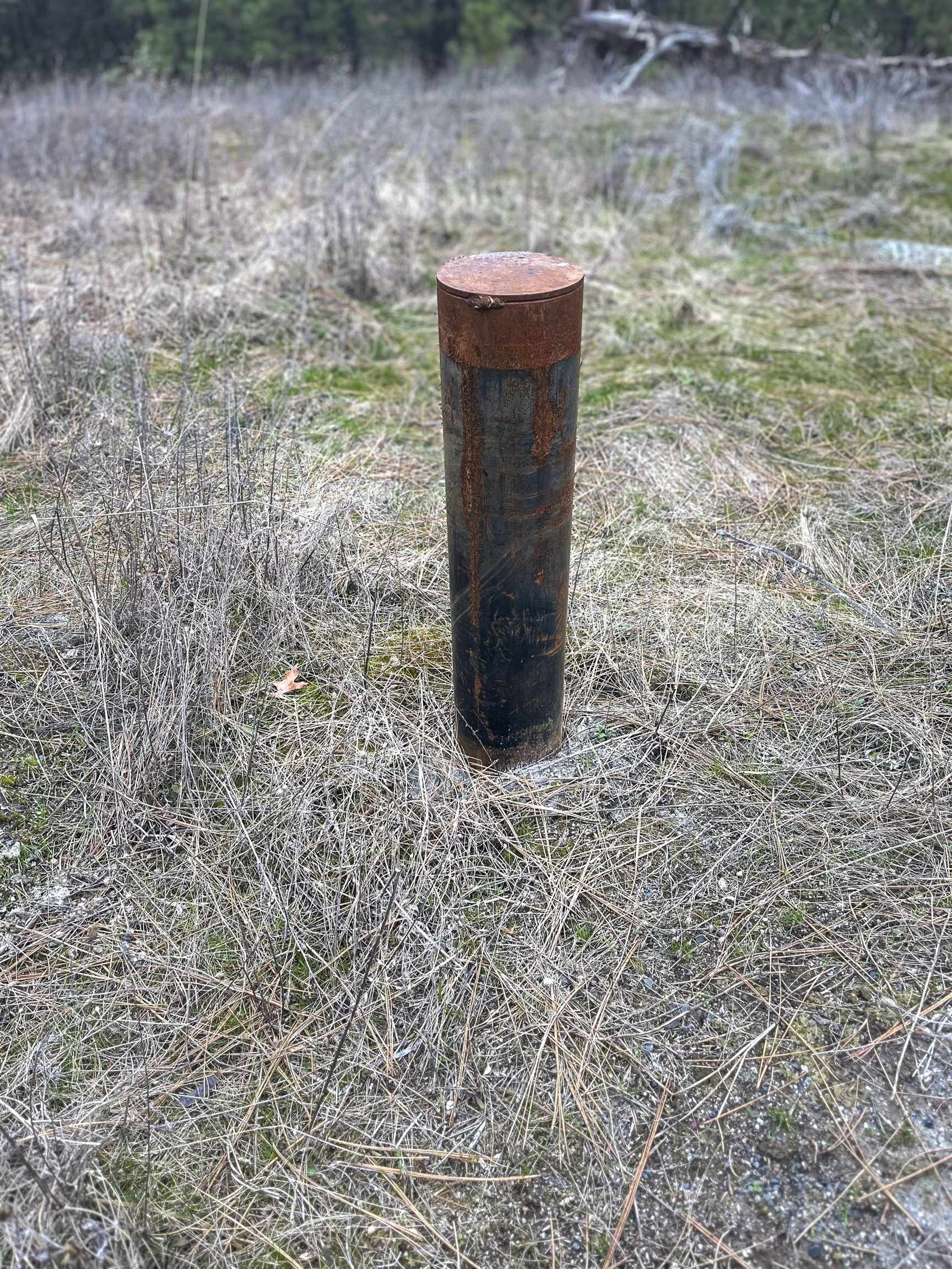 XX Regina Ln - Photo 34