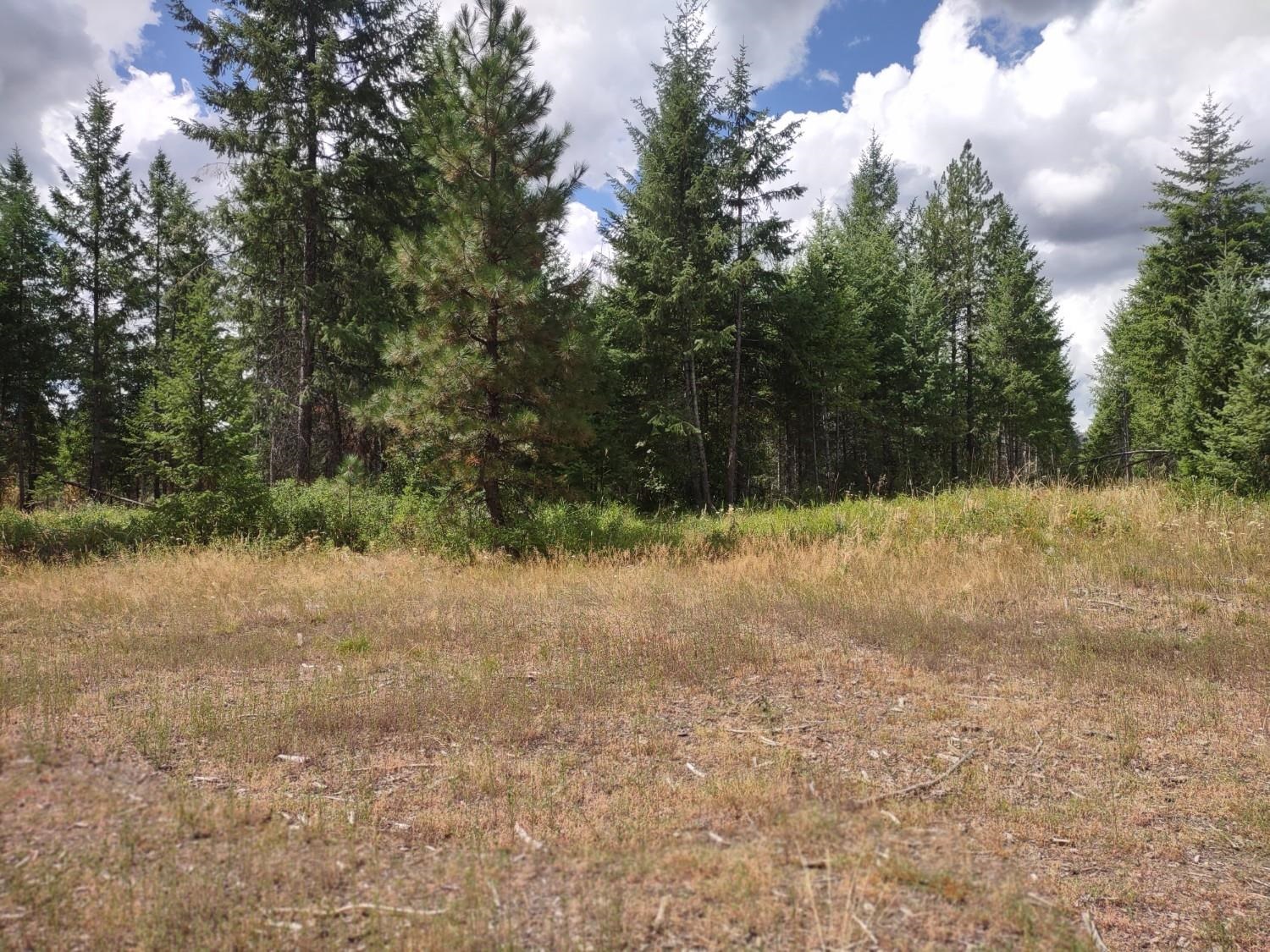 5105 Rose Hill Rd - Photo 38