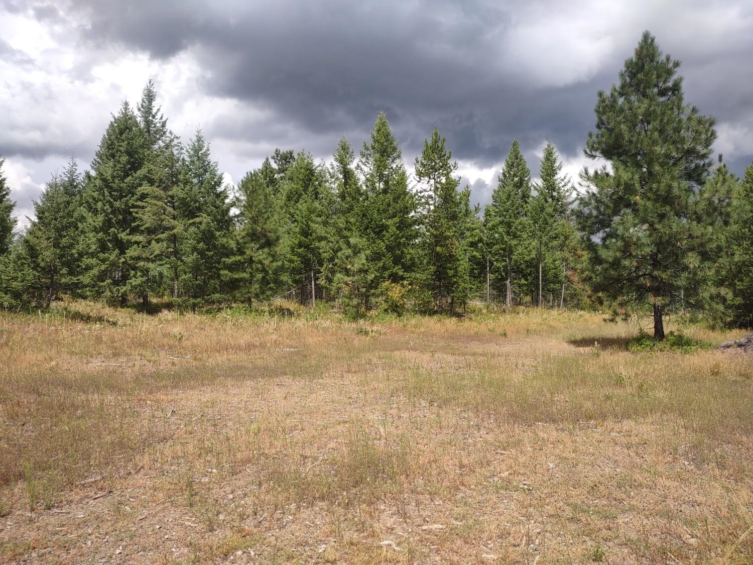 5105 Rose Hill Rd - Photo 39