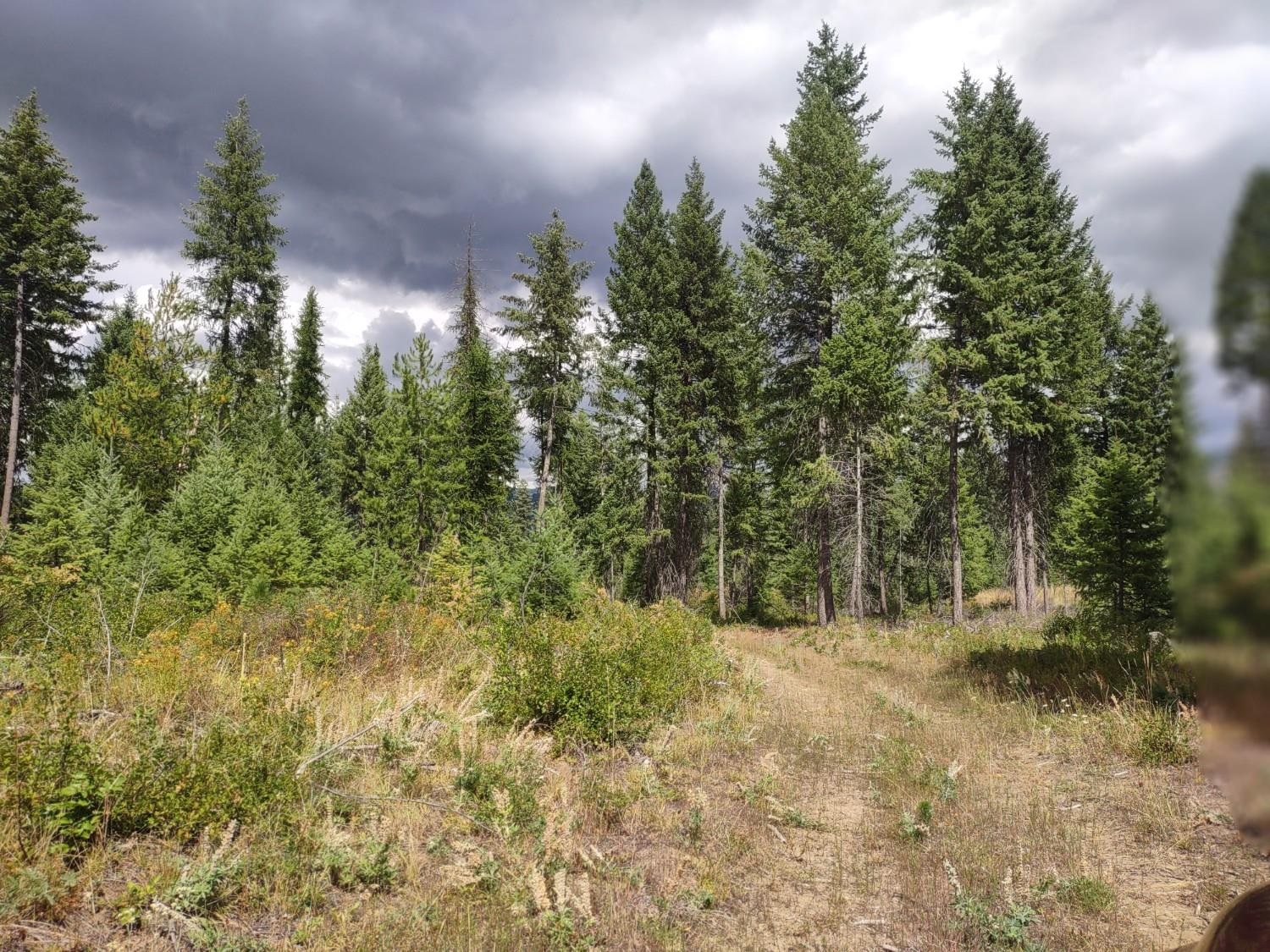 5105 Rose Hill Rd - Photo 40