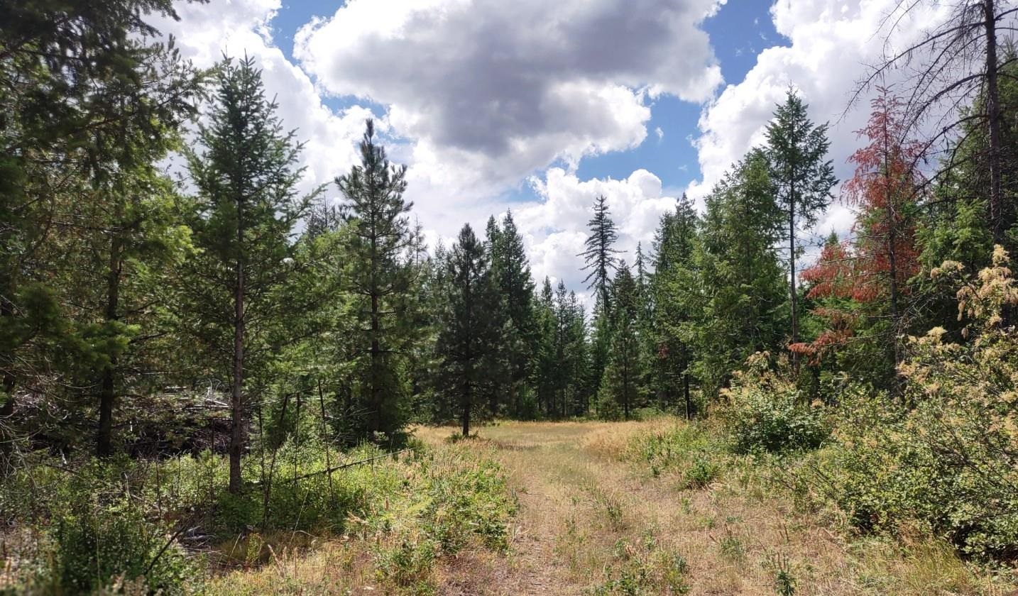 5105 Rose Hill Rd - Photo 41
