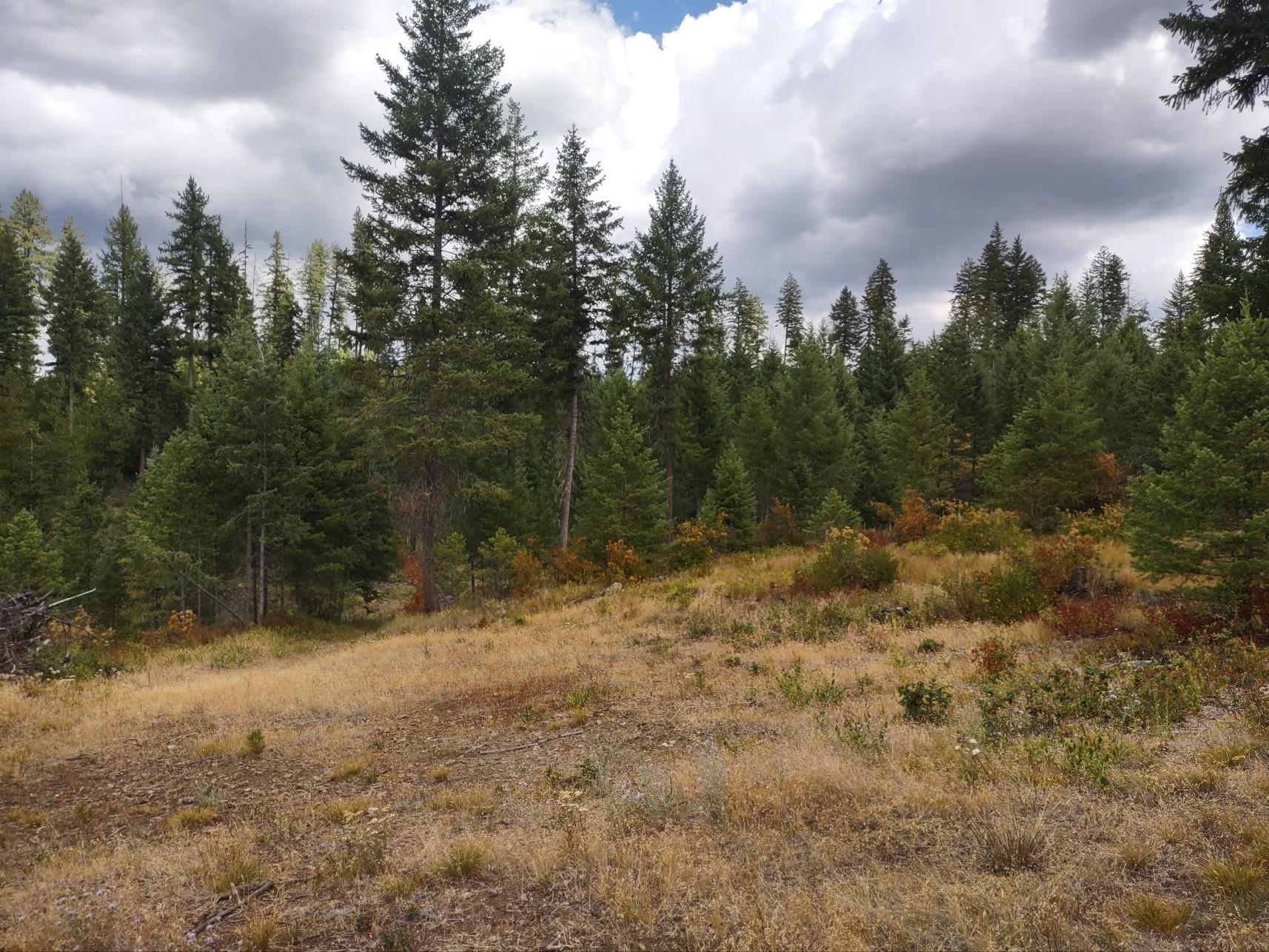5105 Rose Hill Rd - Photo 42