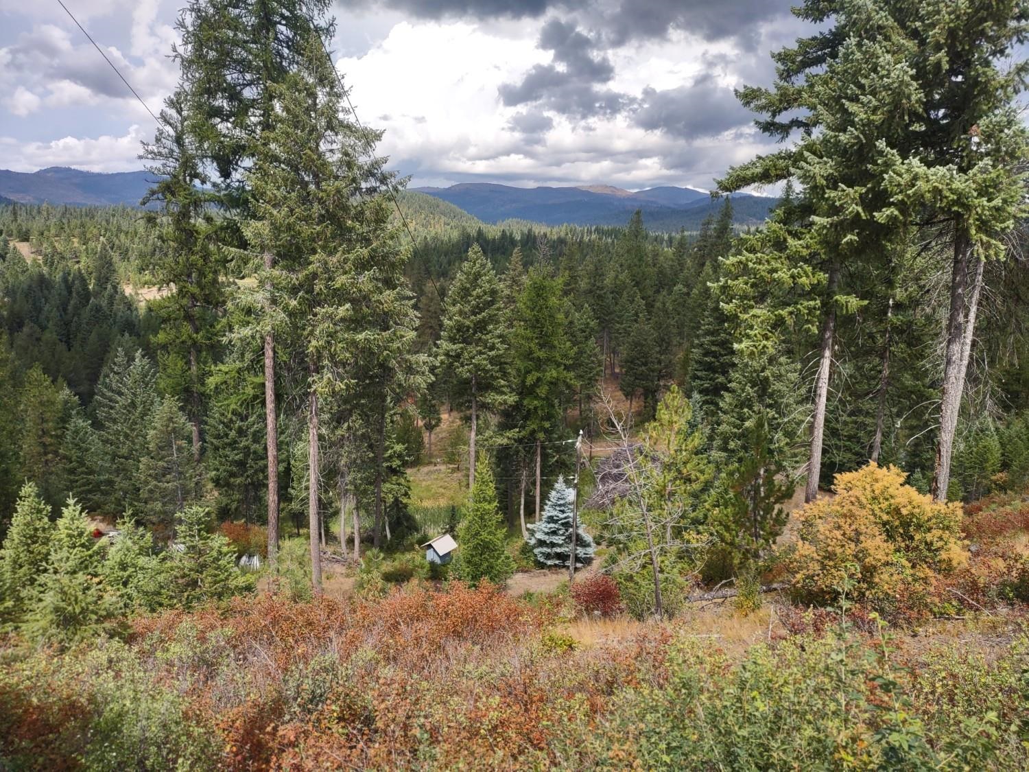 5105 Rose Hill Rd - Photo 43