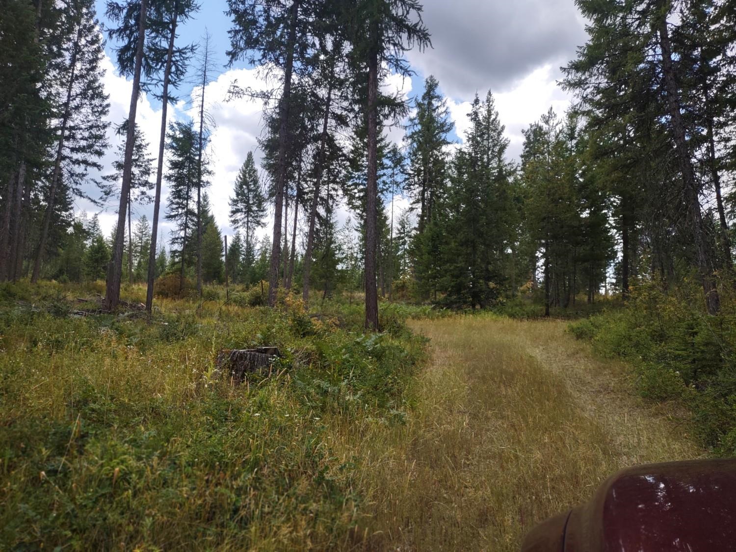 5105 Rose Hill Rd - Photo 44