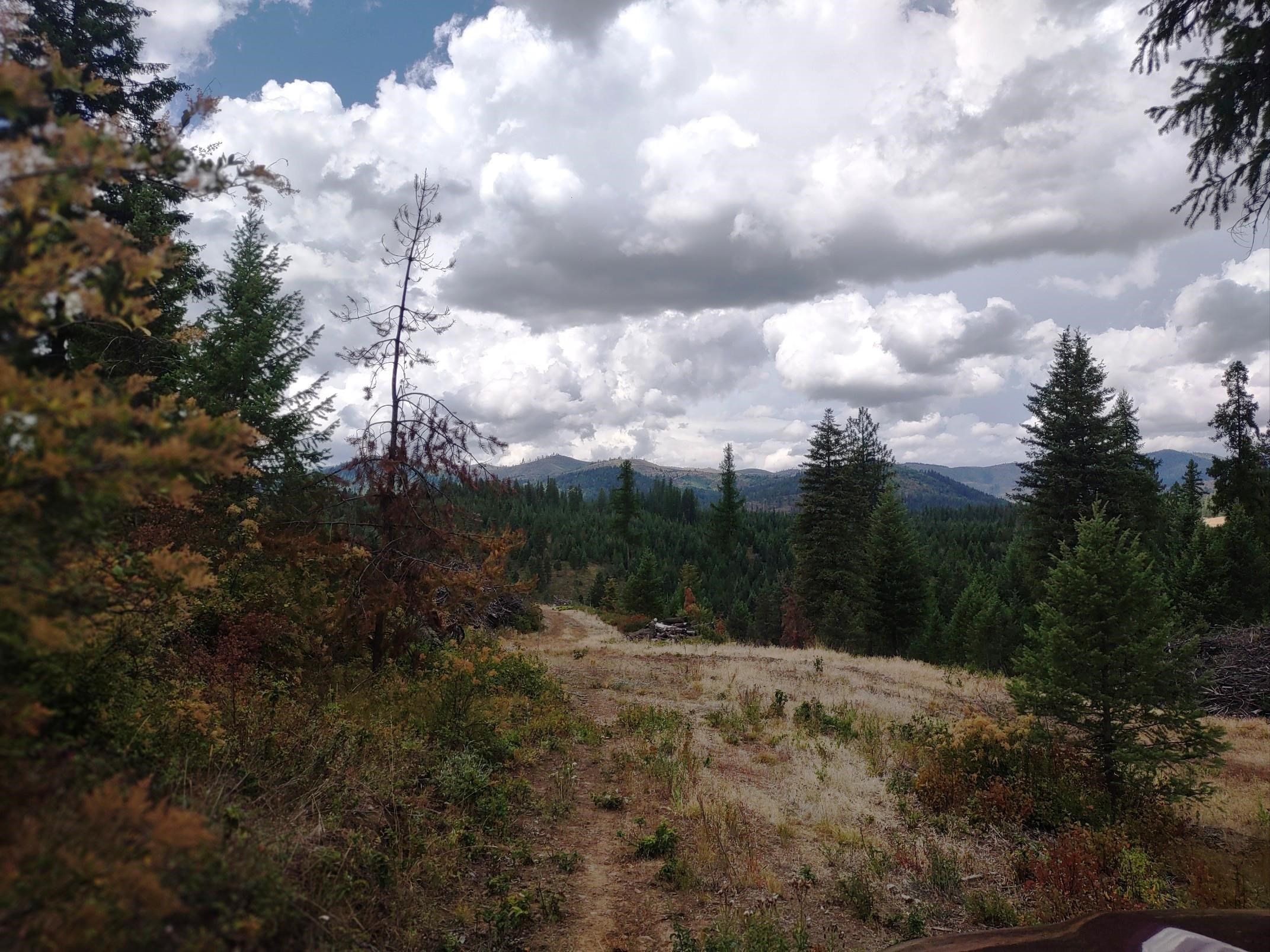 5105 Rose Hill Rd - Photo 45