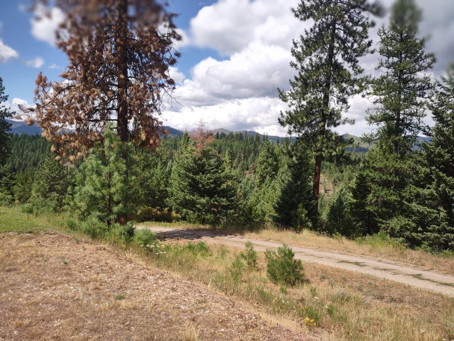 5105 Rose Hill Rd - Photo 46