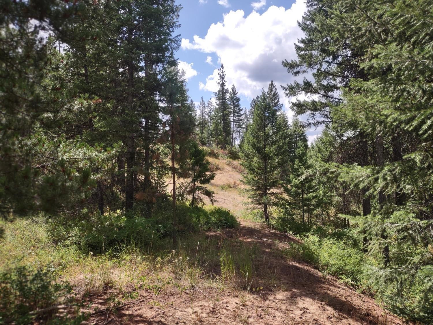 5105 Rose Hill Rd - Photo 48