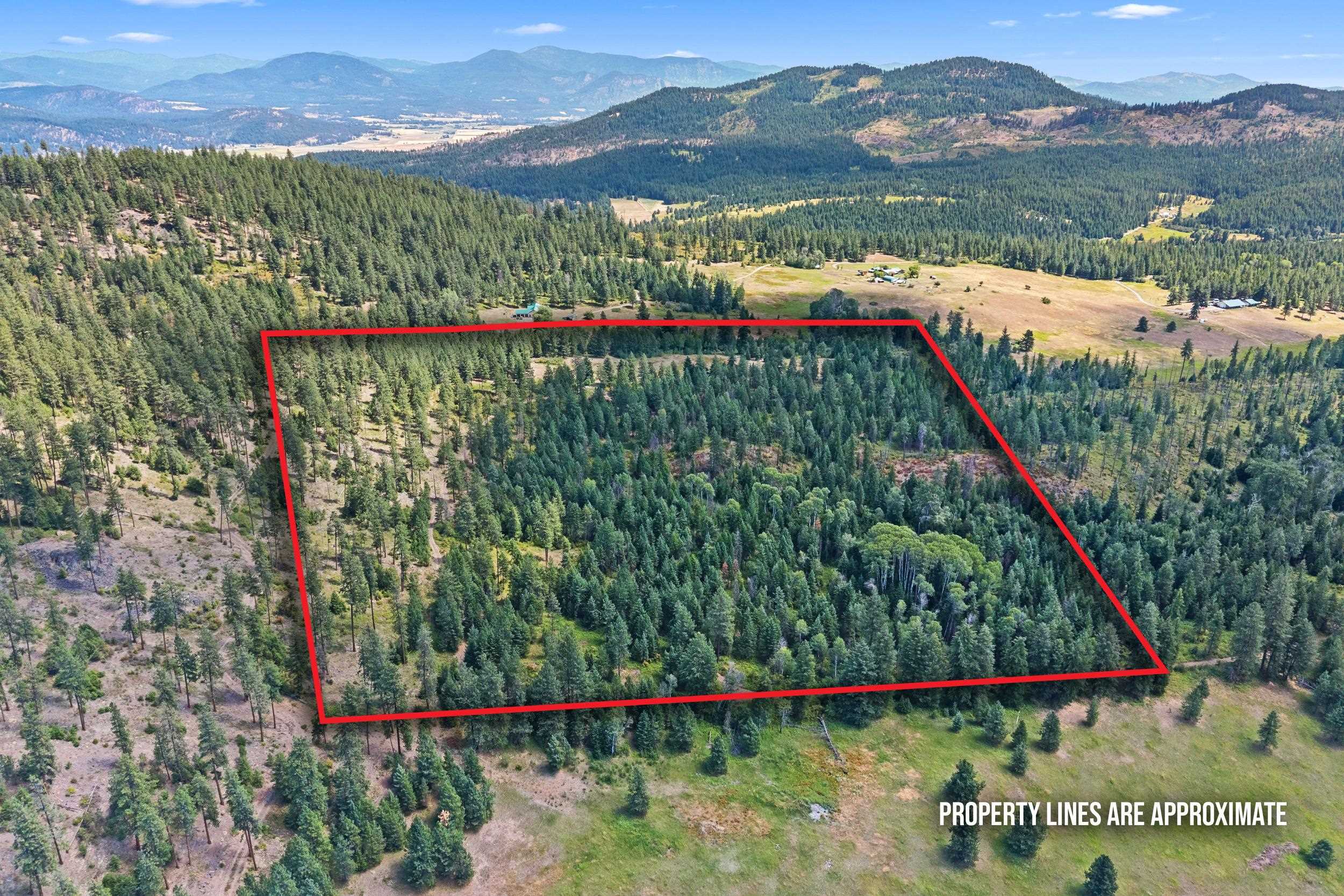 NNA Dry Creek Rd - Photo 1