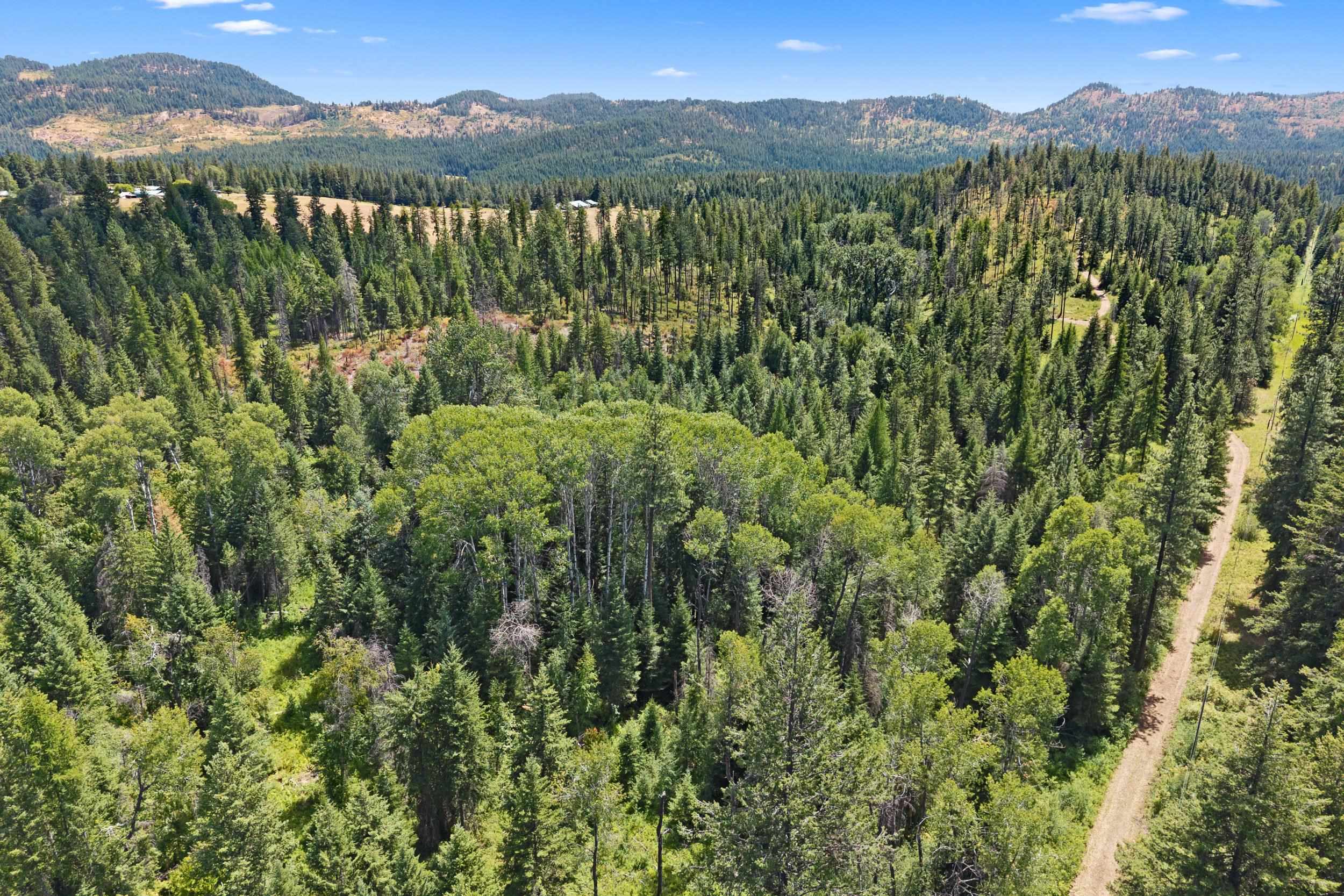 NNA Dry Creek Rd - Photo 13