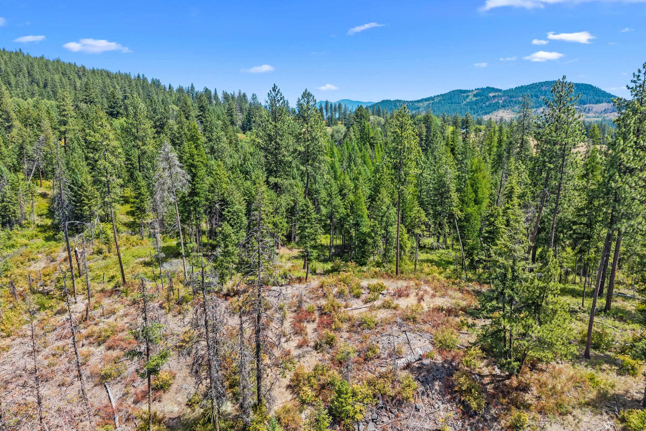 NNA Dry Creek Rd - Photo 14