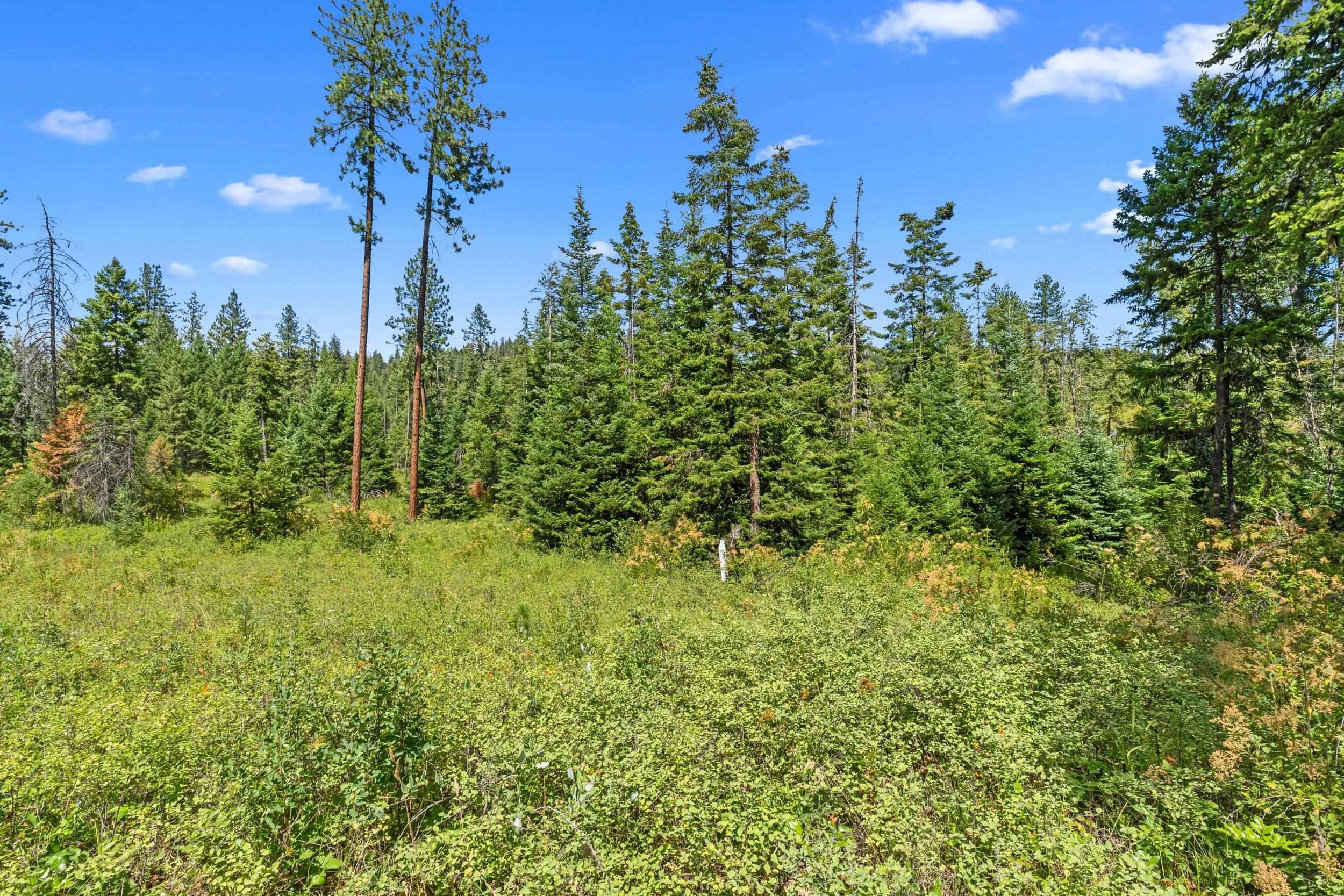 NNA Dry Creek Rd - Photo 15
