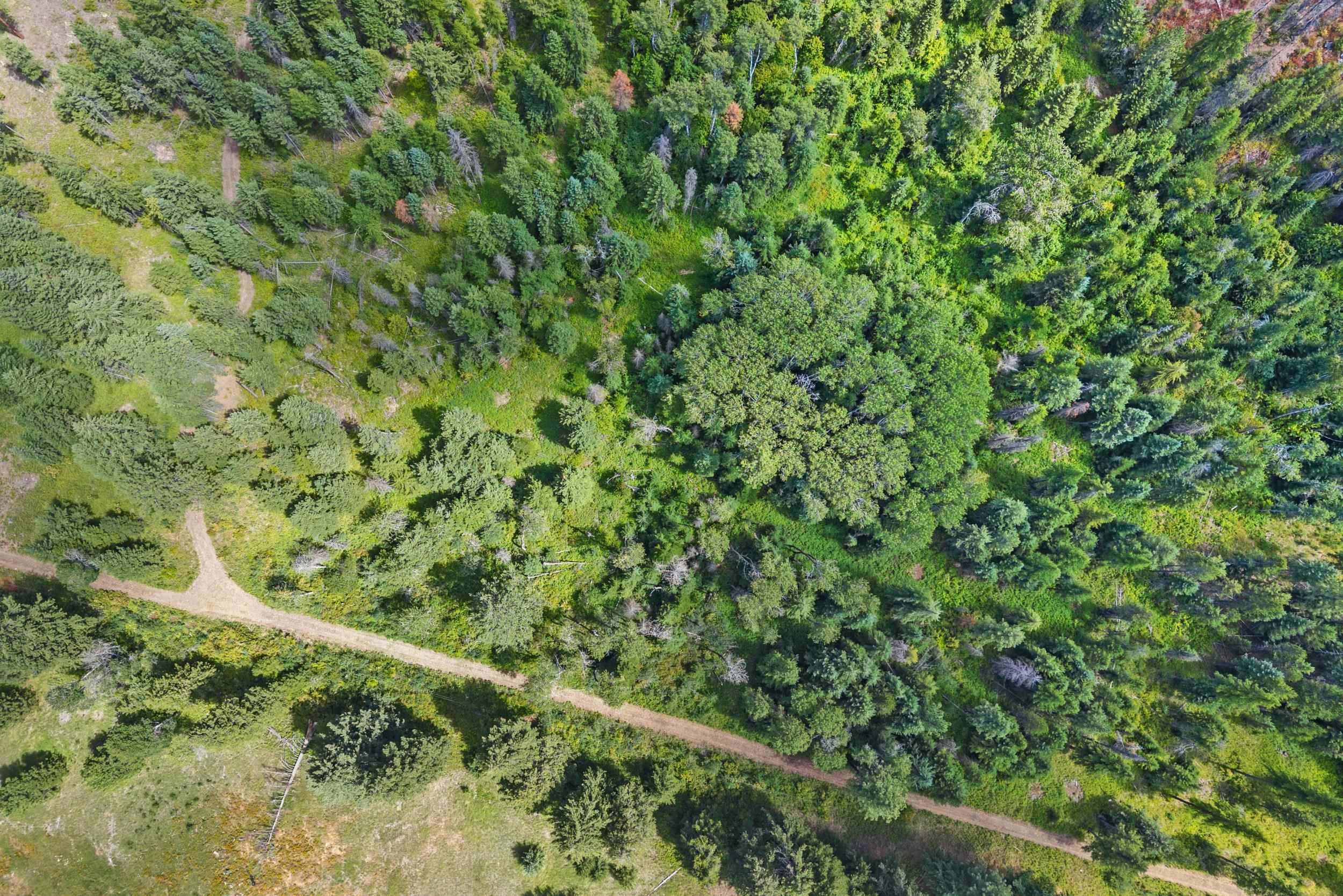 NNA Dry Creek Rd - Photo 16