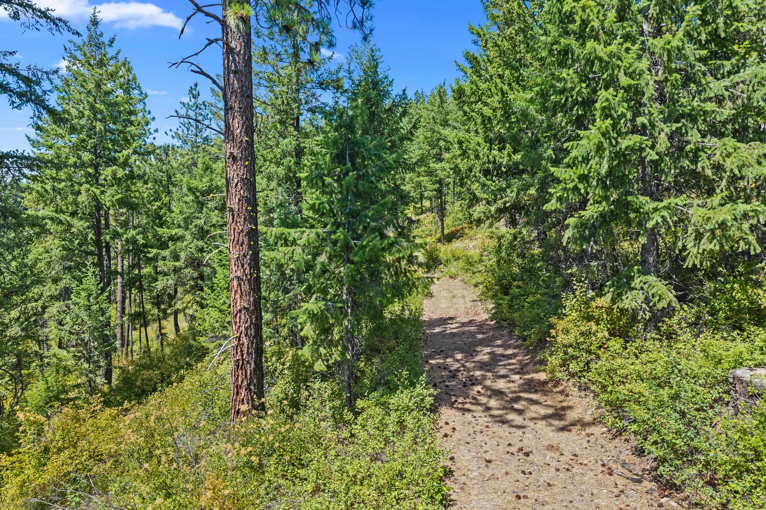 NNA Dry Creek Rd - Photo 17