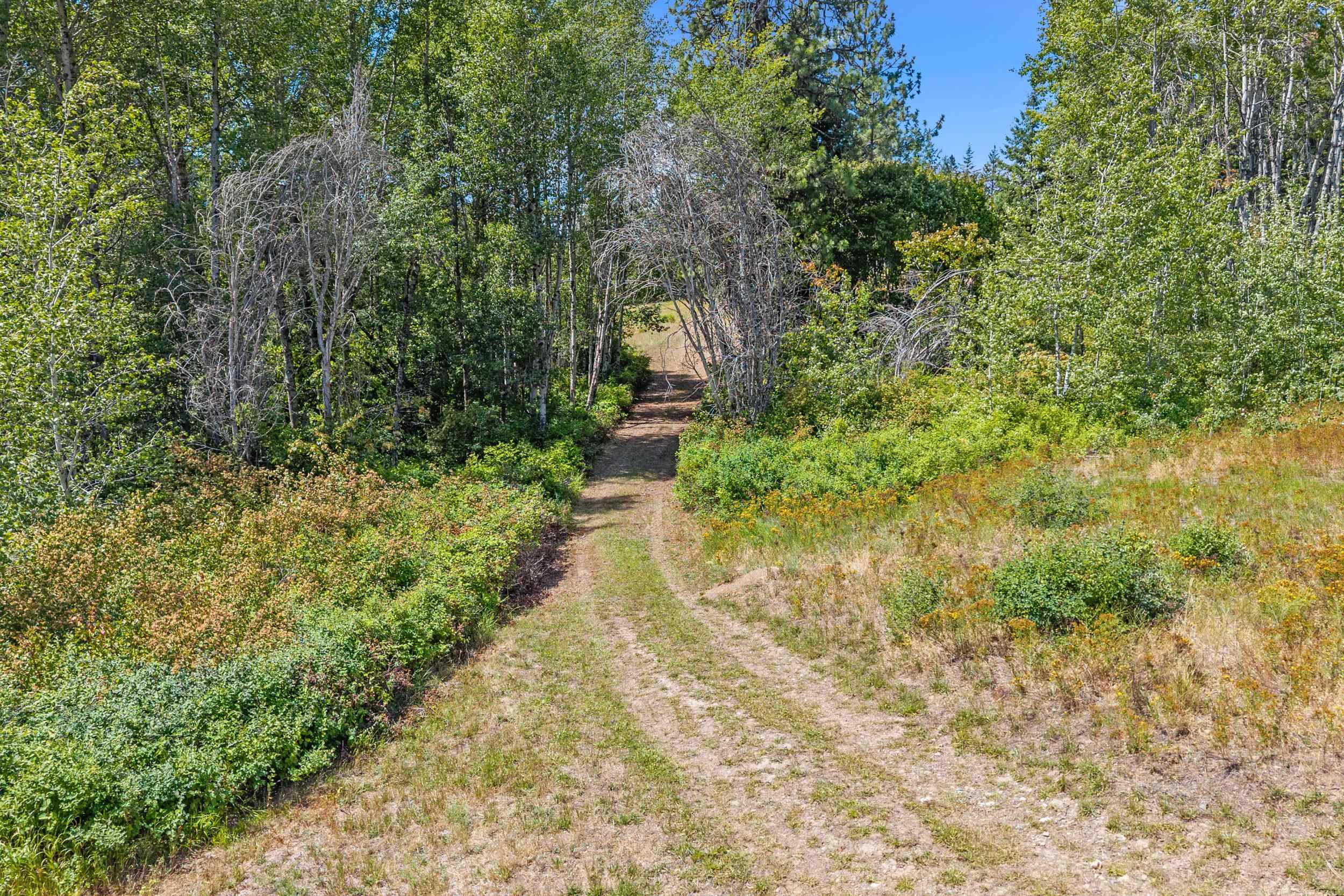 NNA Dry Creek Rd - Photo 3