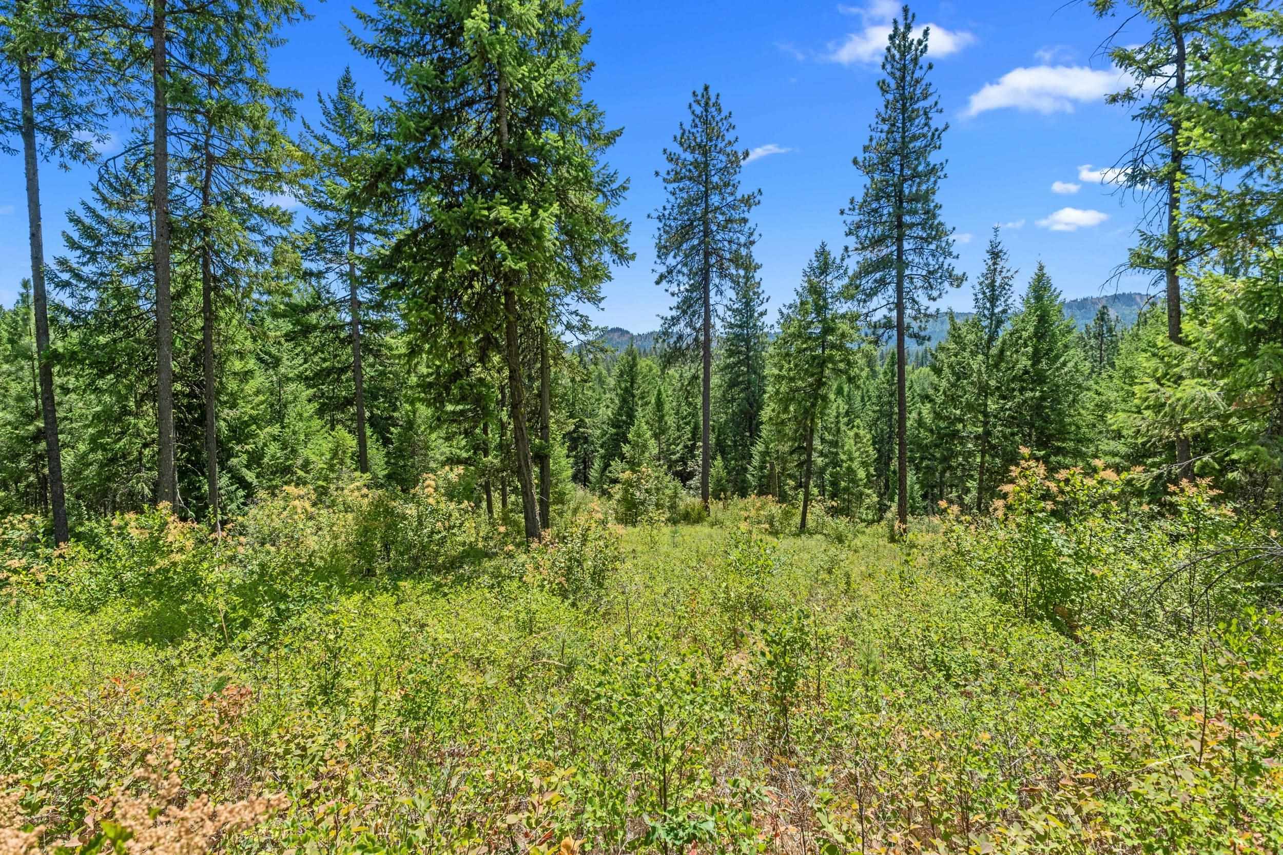 NNA Dry Creek Rd - Photo 21
