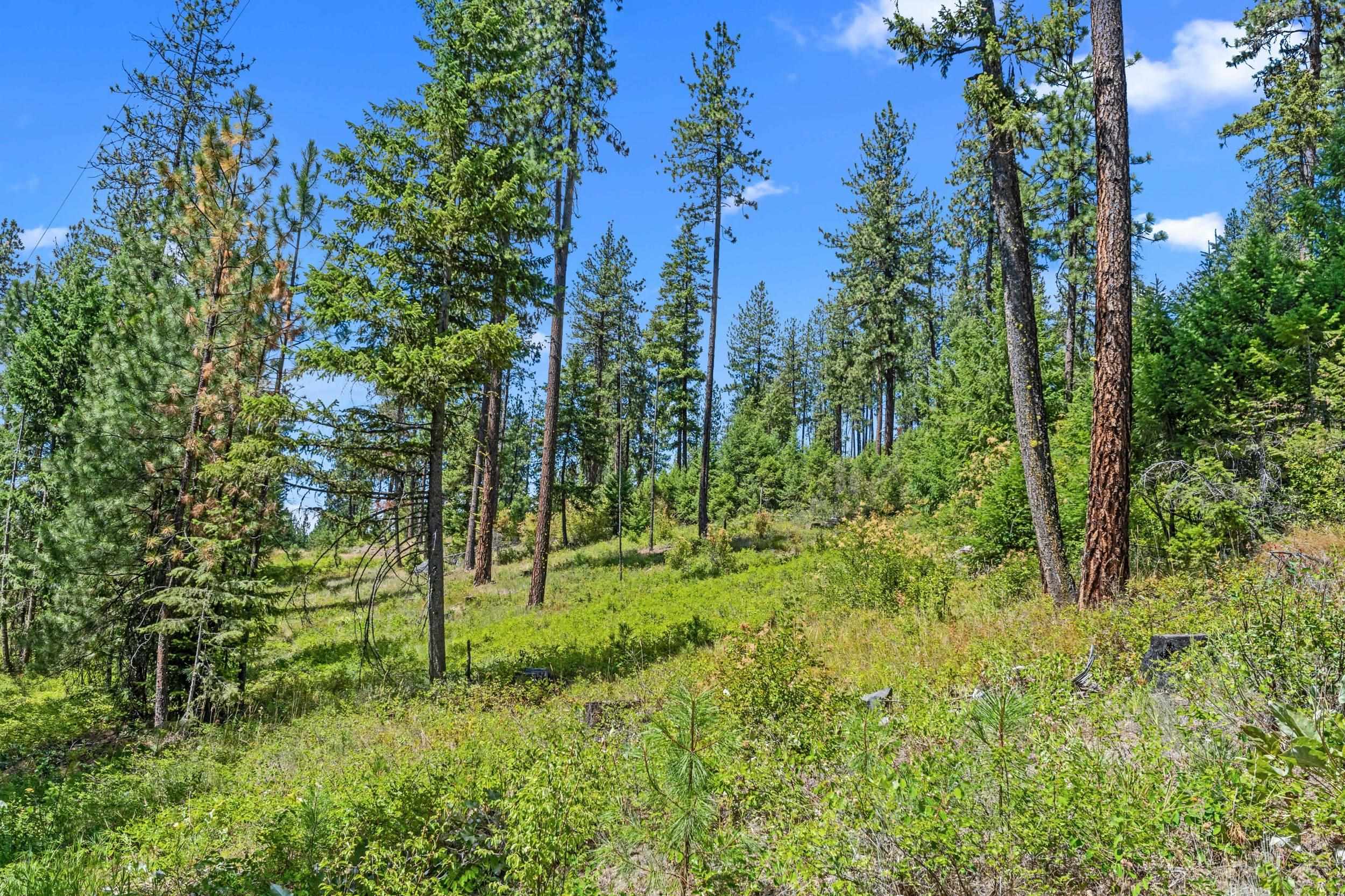 NNA Dry Creek Rd - Photo 22