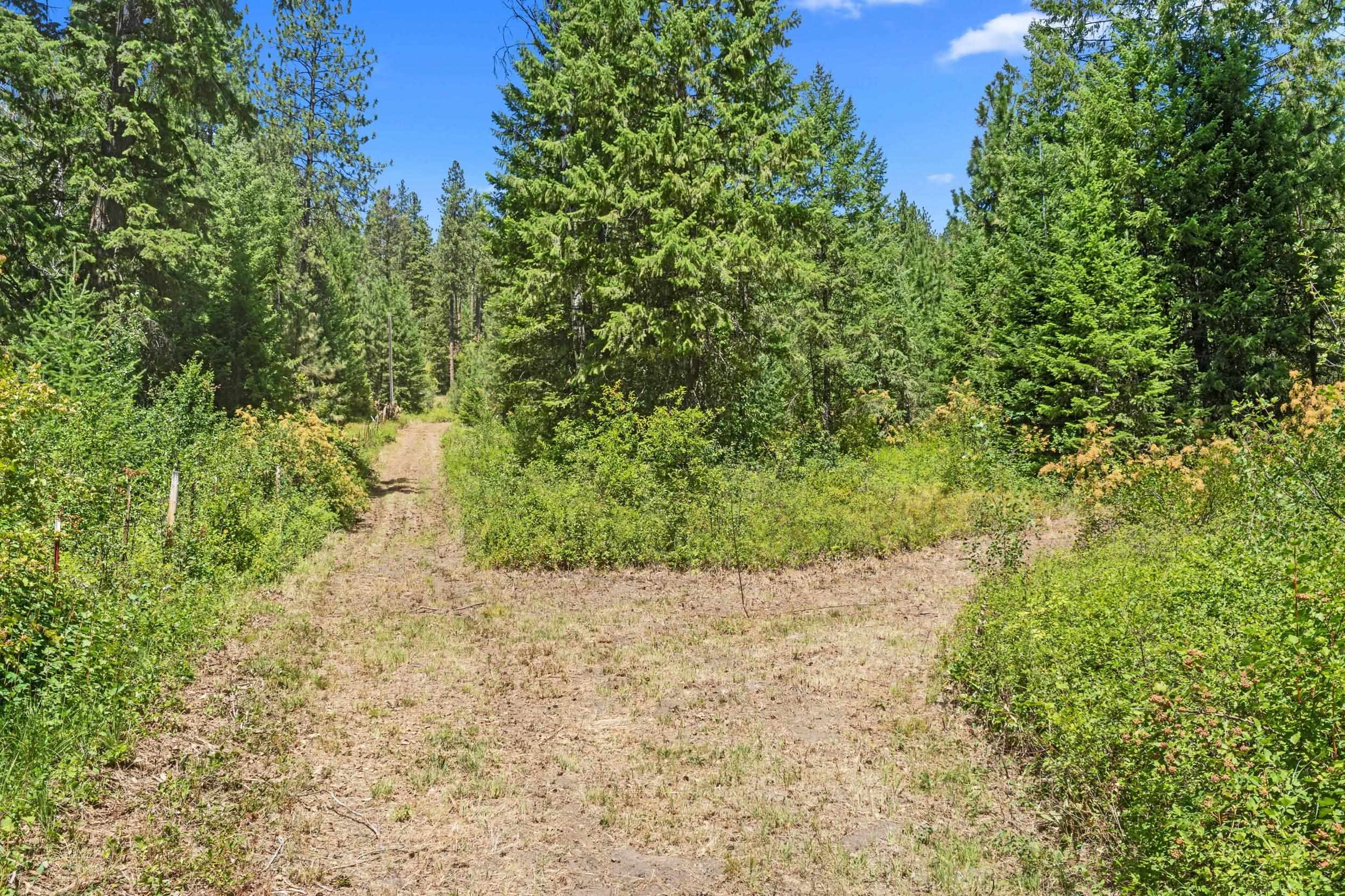 NNA Dry Creek Rd - Photo 24