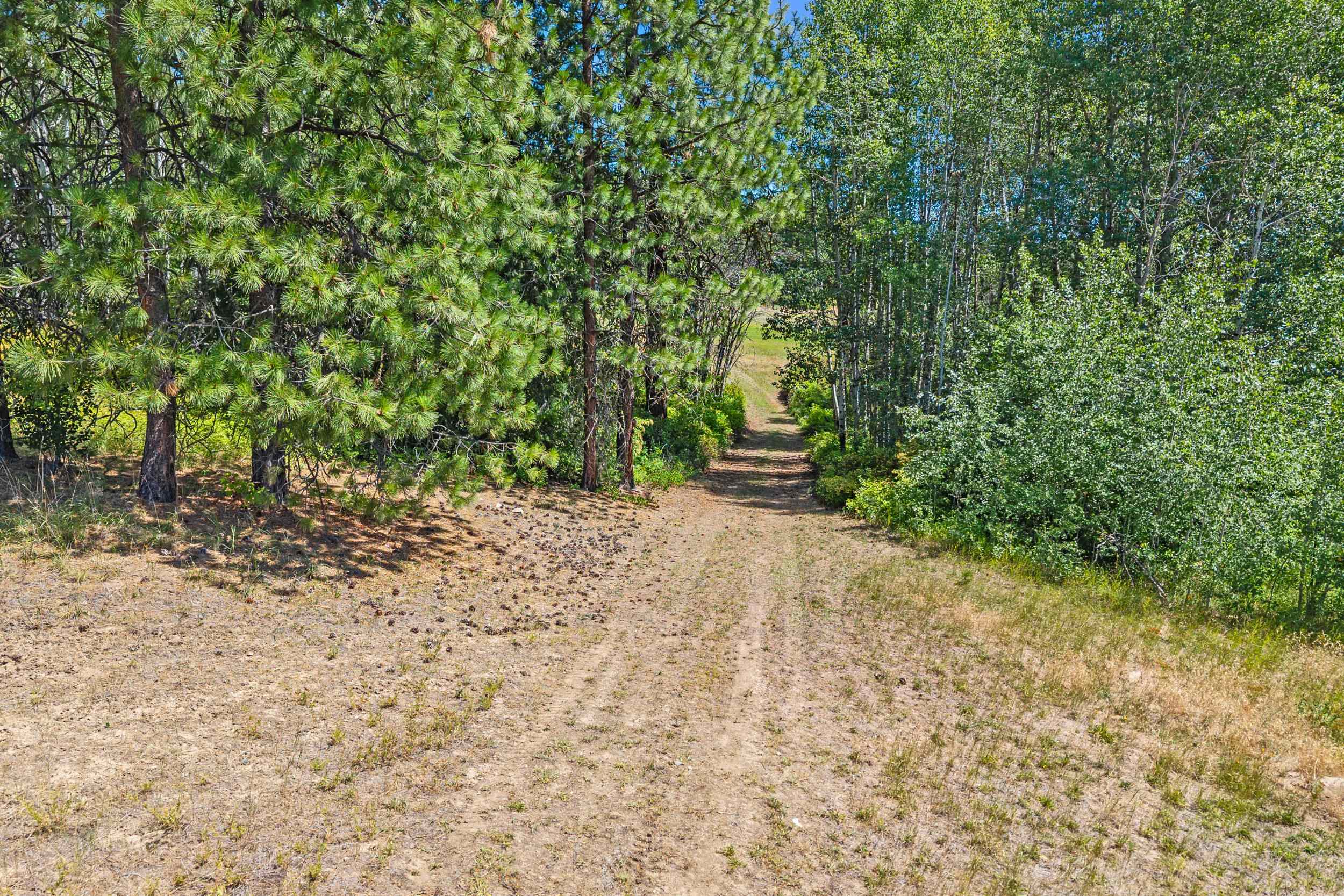 NNA Dry Creek Rd - Photo 4