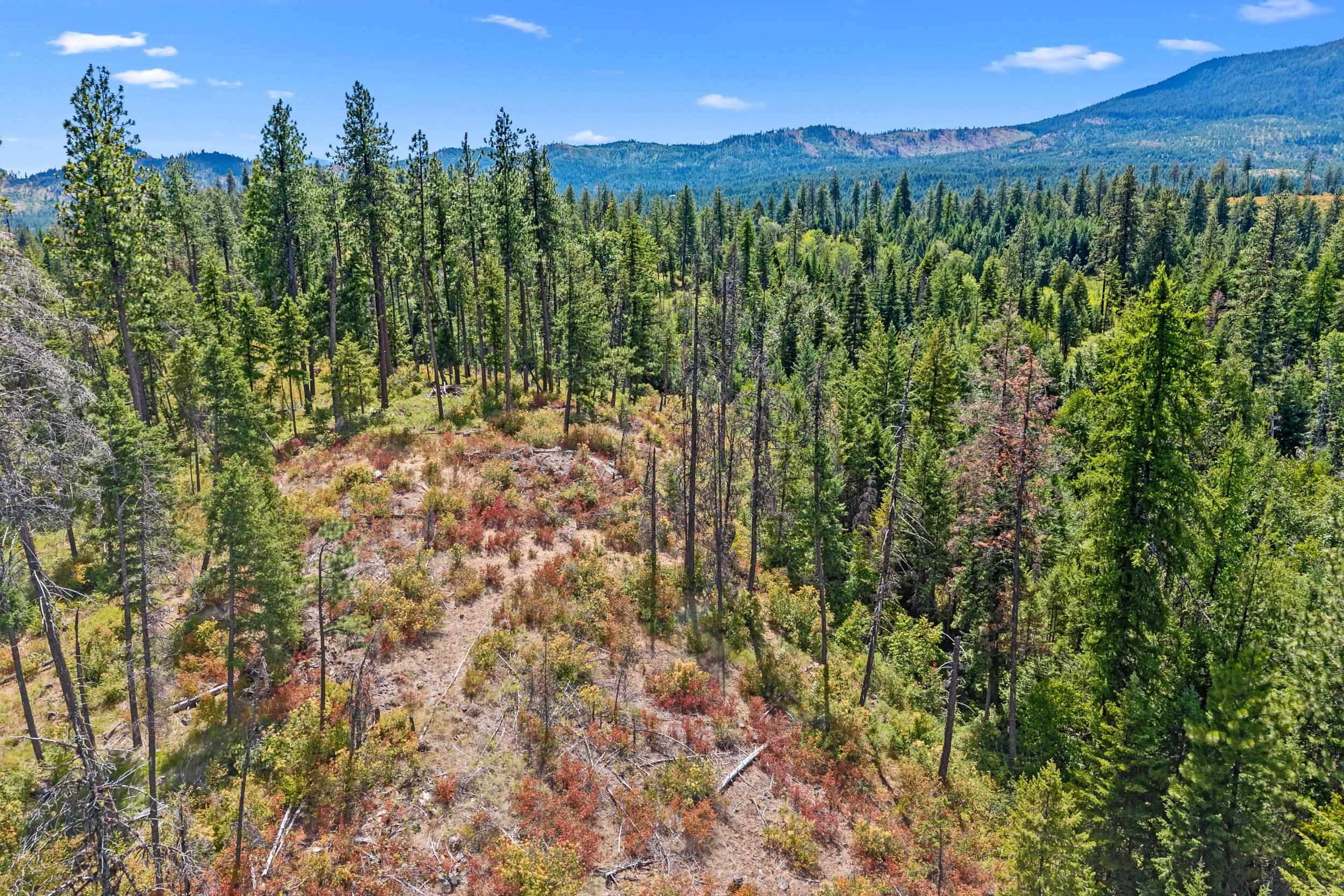 NNA Dry Creek Rd - Photo 10