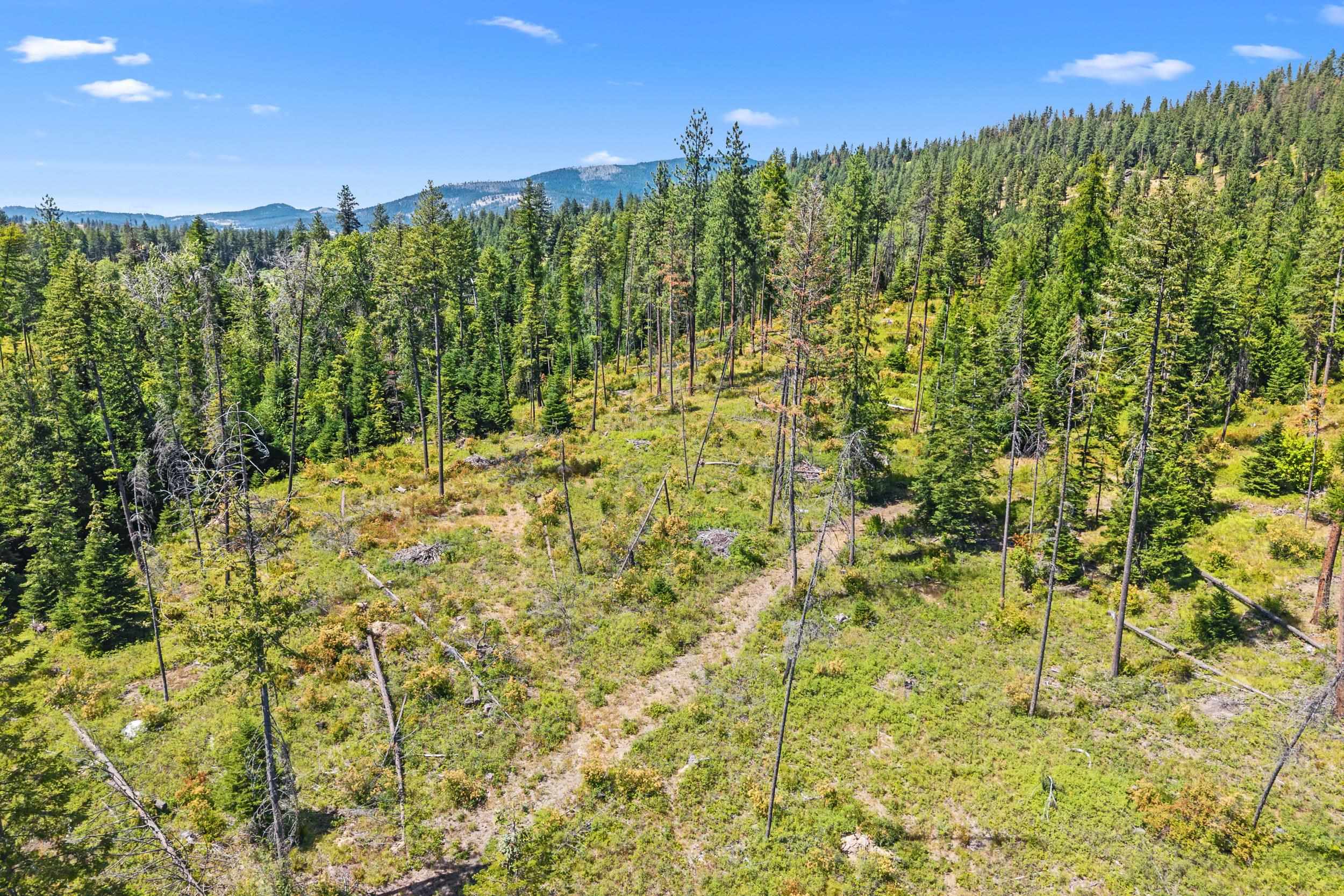 NNA Dry Creek Rd - Photo 11