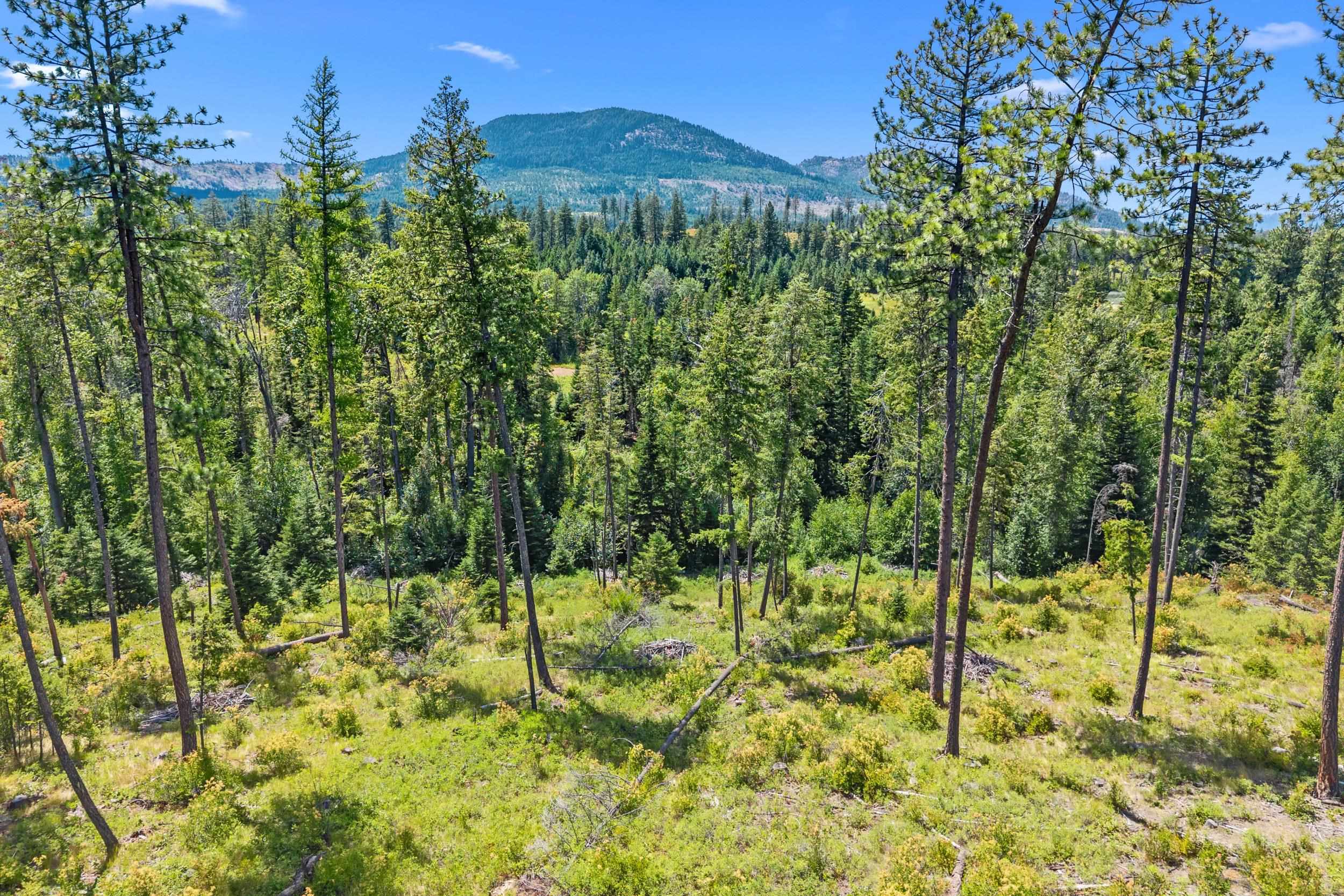 NNA Dry Creek Rd - Photo 12