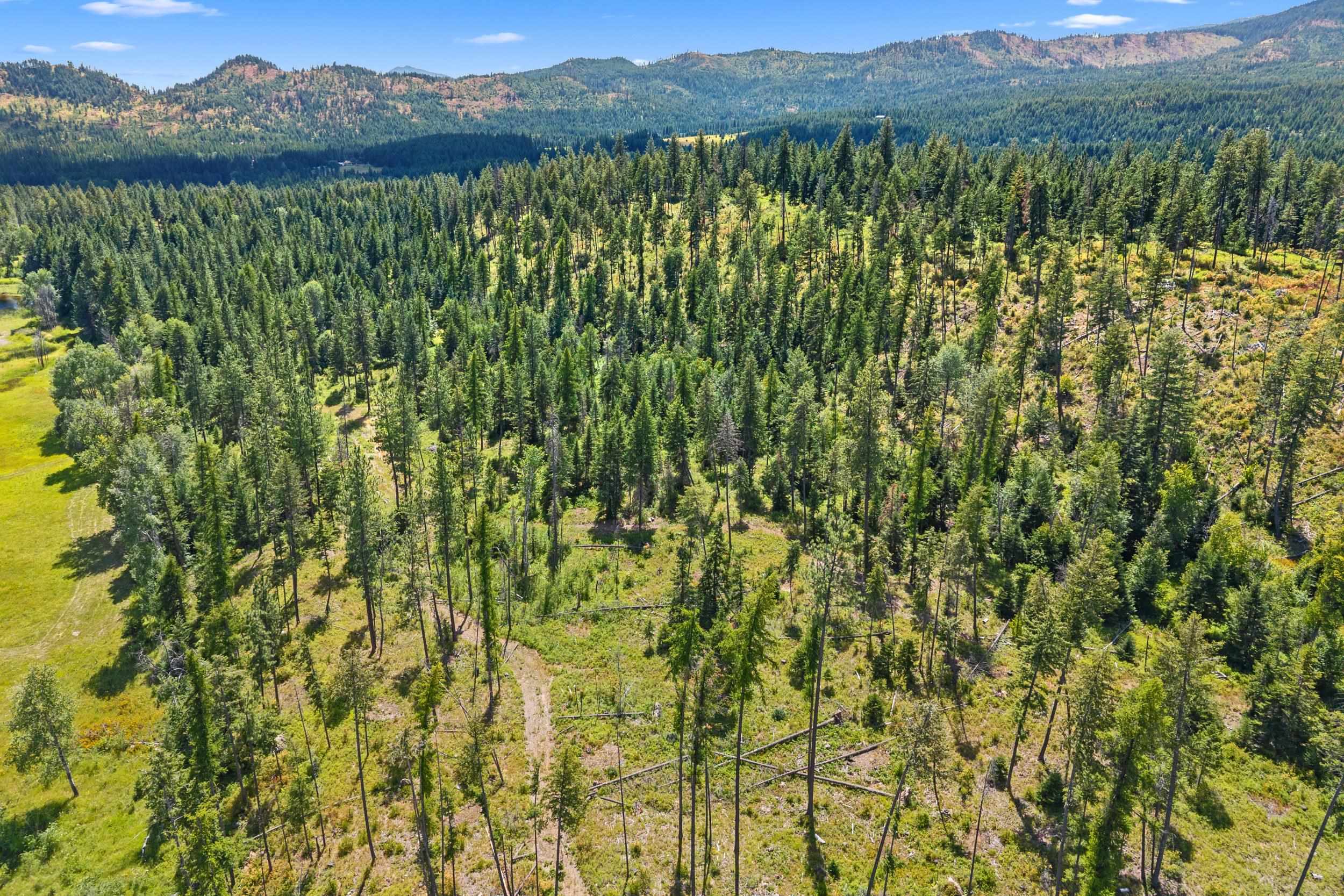 NNA Dry Creek Rd - Photo 16