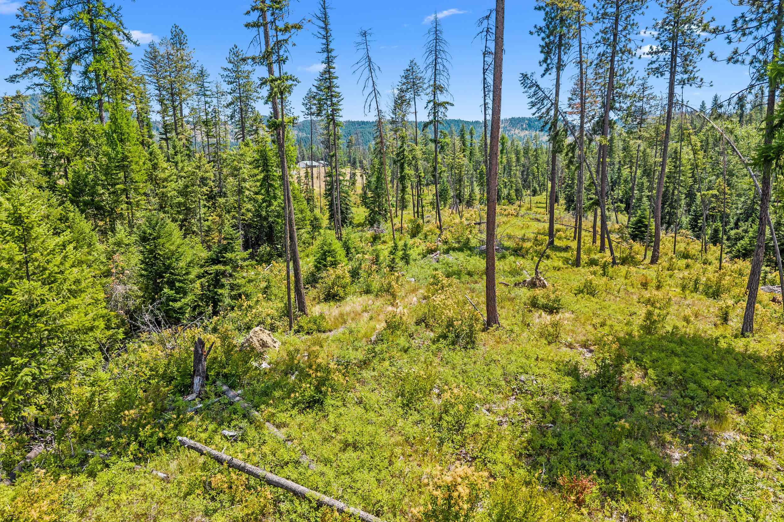 NNA Dry Creek Rd - Photo 17