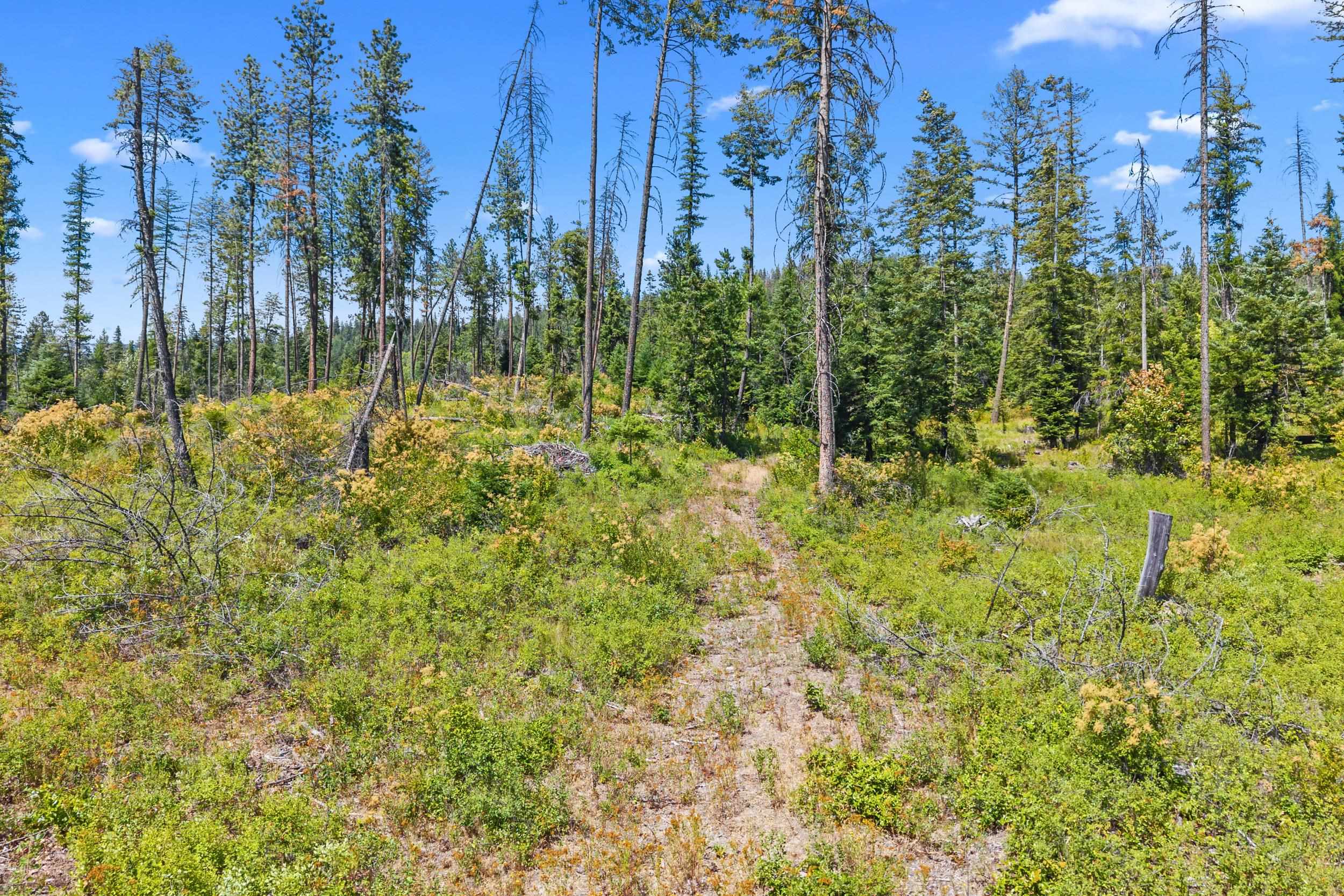 NNA Dry Creek Rd - Photo 18