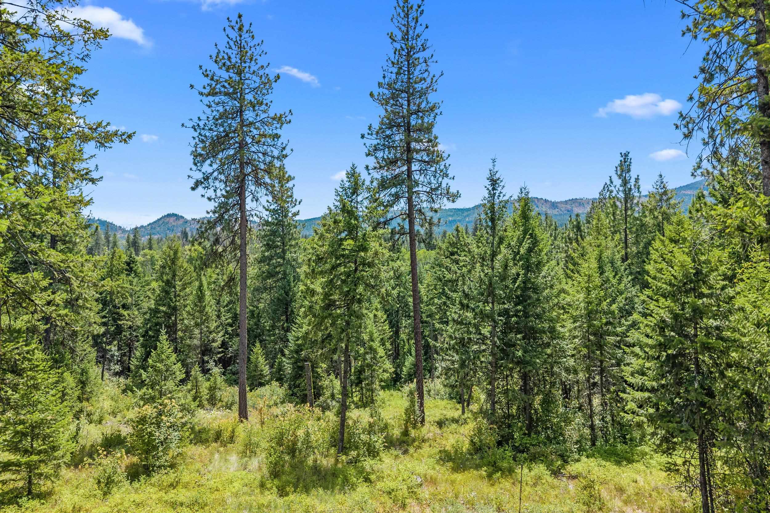 NNA Dry Creek Rd - Photo 21
