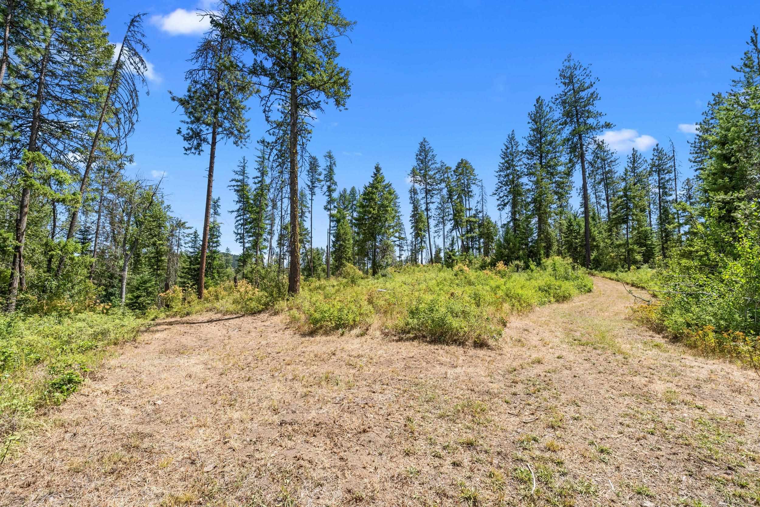 NNA Dry Creek Rd - Photo 4