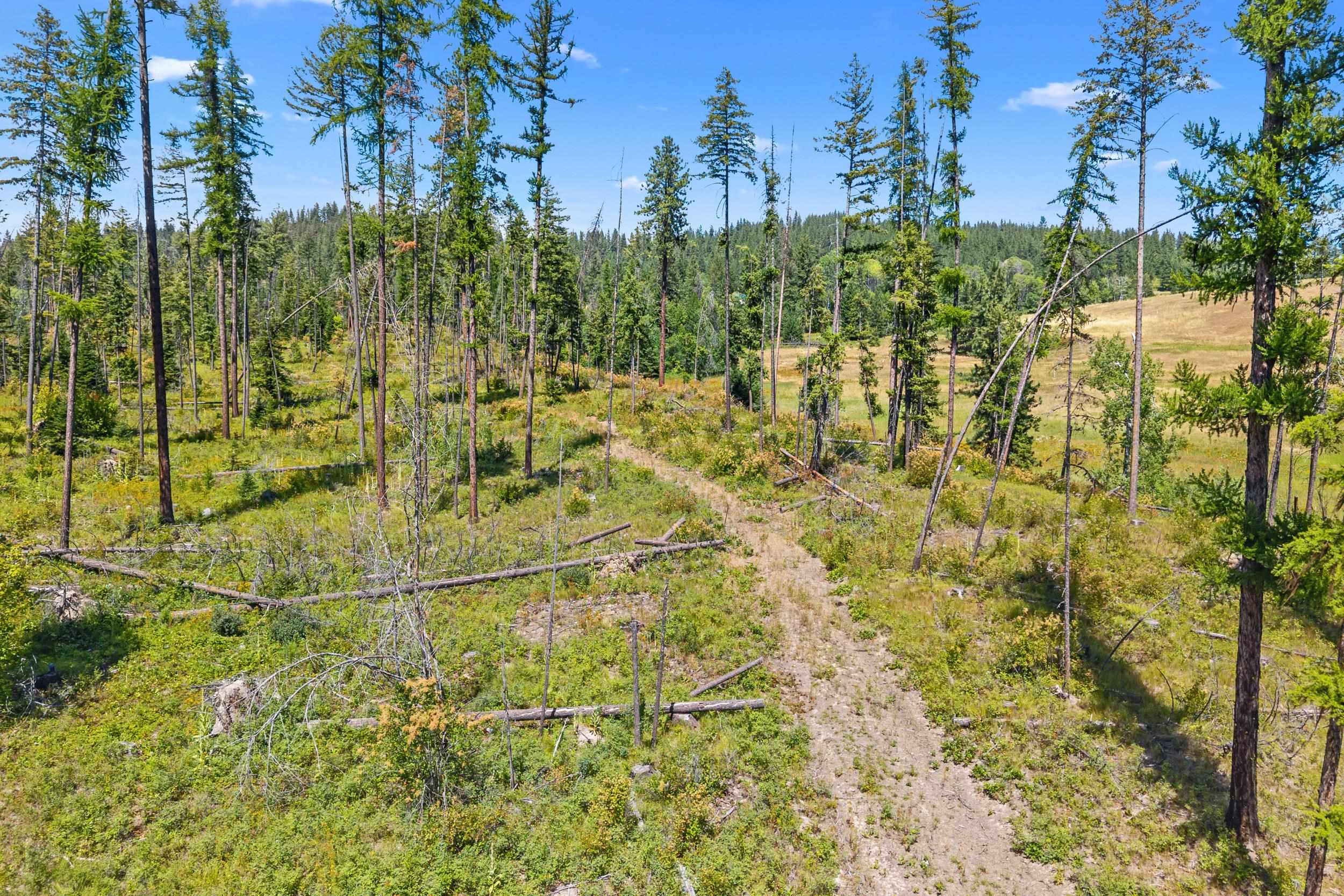 NNA Dry Creek Rd - Photo 5