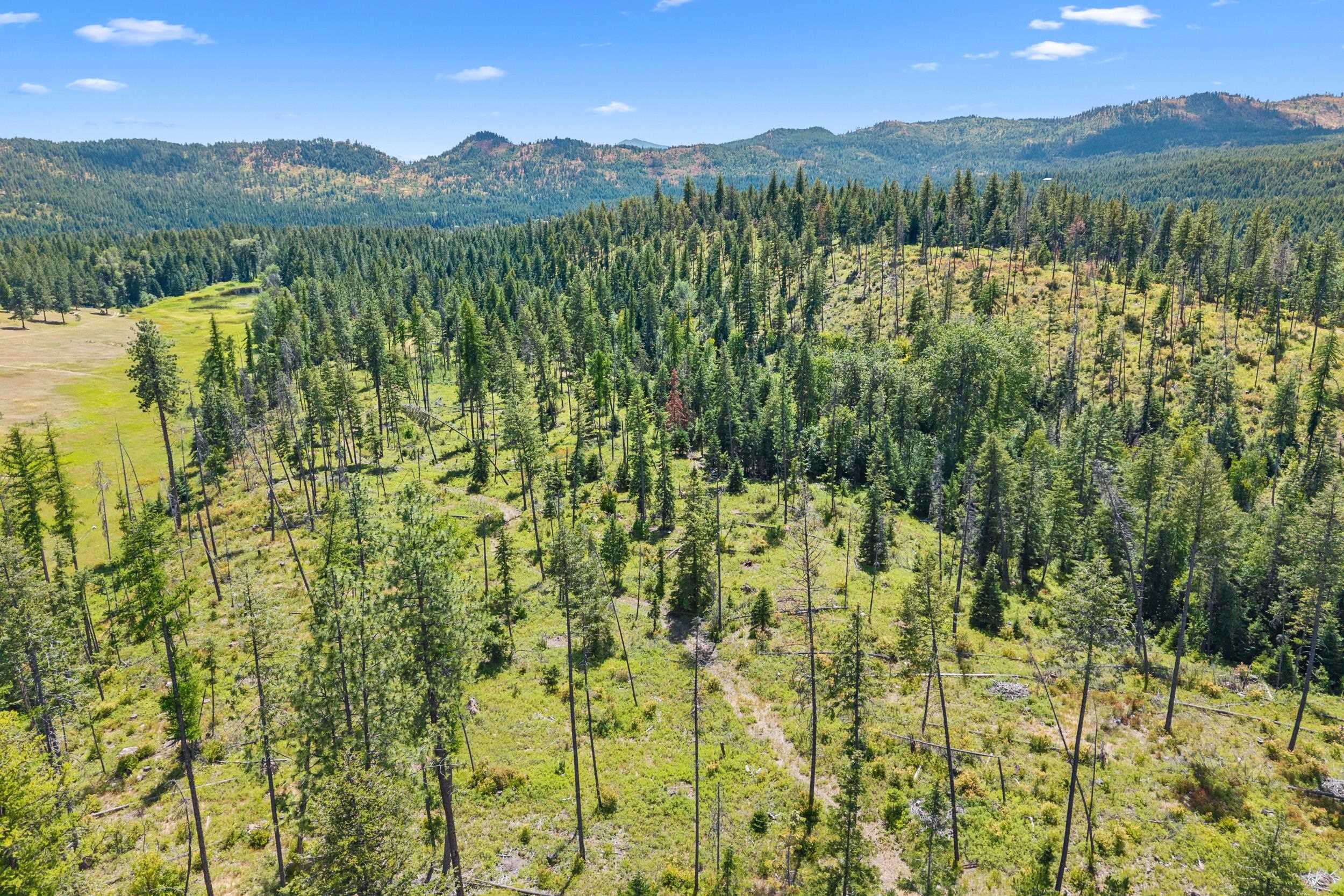NNA Dry Creek Rd - Photo 6