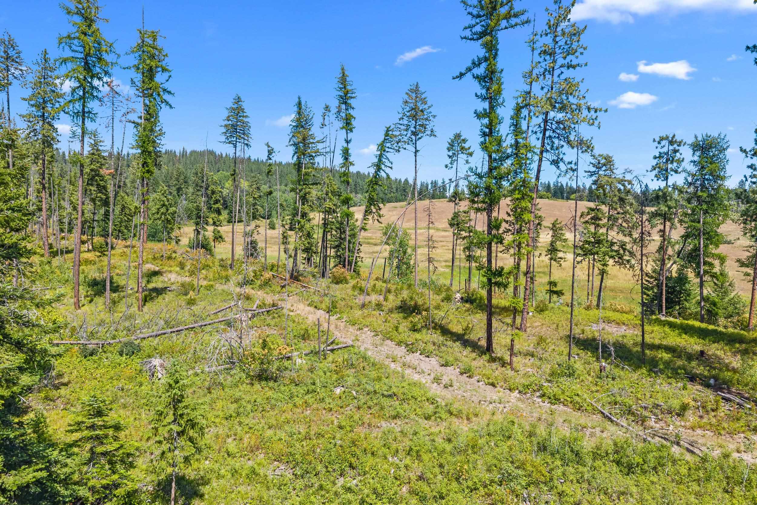 NNA Dry Creek Rd - Photo 10