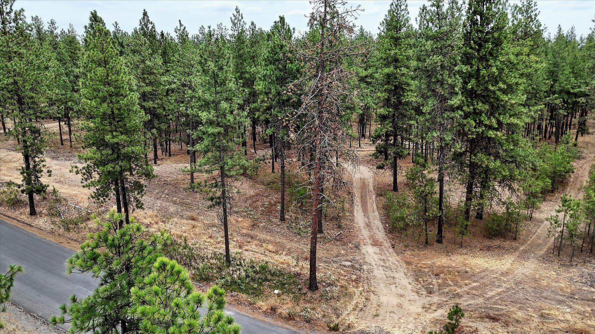 18505 W Buckboard Rd - Photo 2