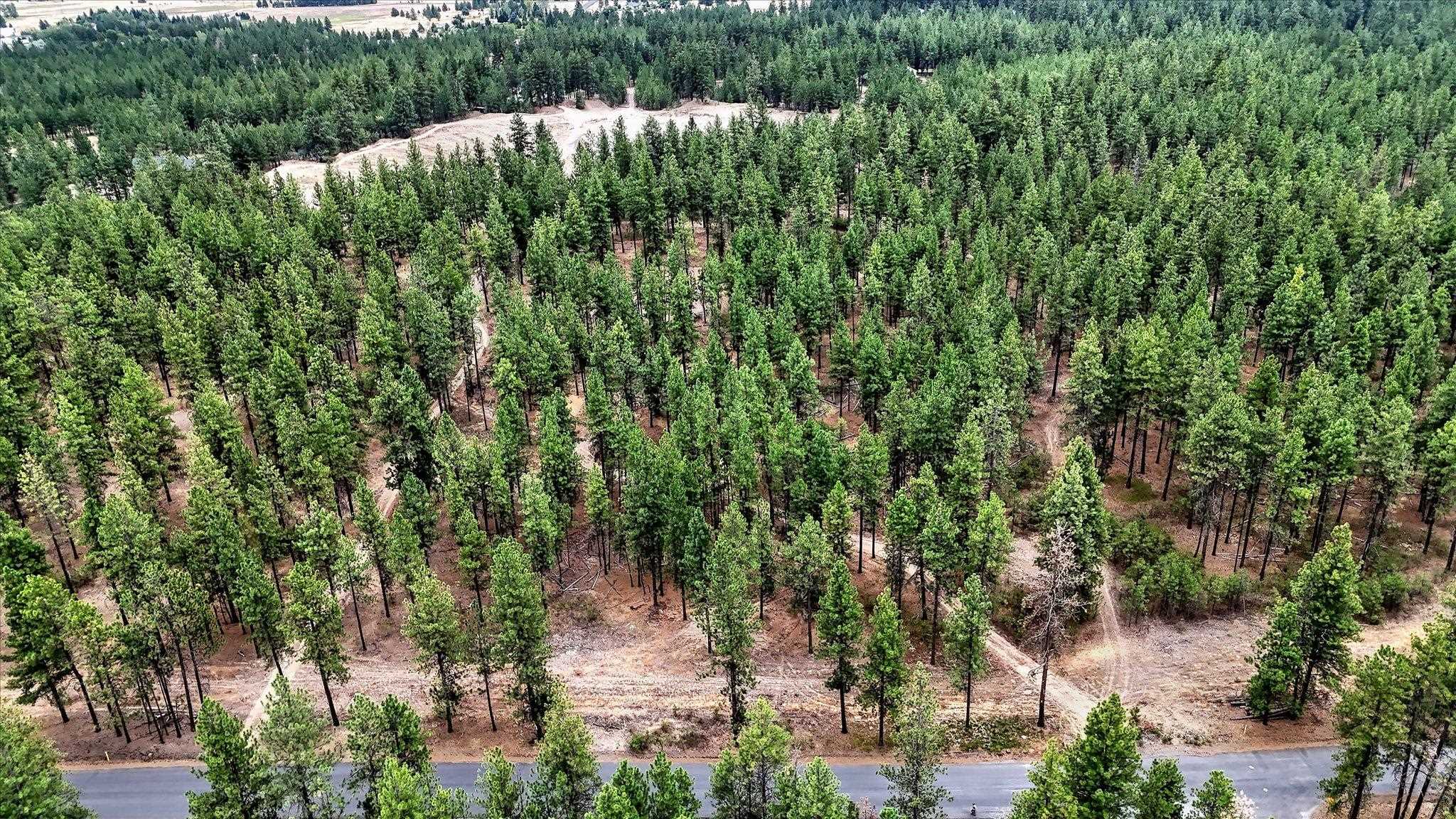 18505 W Buckboard Rd - Photo 11